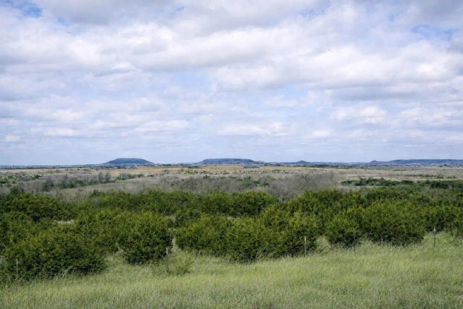 Improved Land For Sale in Hamilton County , TBD County Road 224, Jonesboro, Texas 76538, 0, 0, Garage spaces, 0 Sqft, built in 0, Price $1,272,700, mls#21205167, Real Estate Agent in Jonesboro, Homes For Sale in Hamilton county, Homes For Sale in Jonesboro, Realtor in Jonesboro Texas, Real Estate Brokerage Independent Realty Texas, Luminita Cordes Realtor
