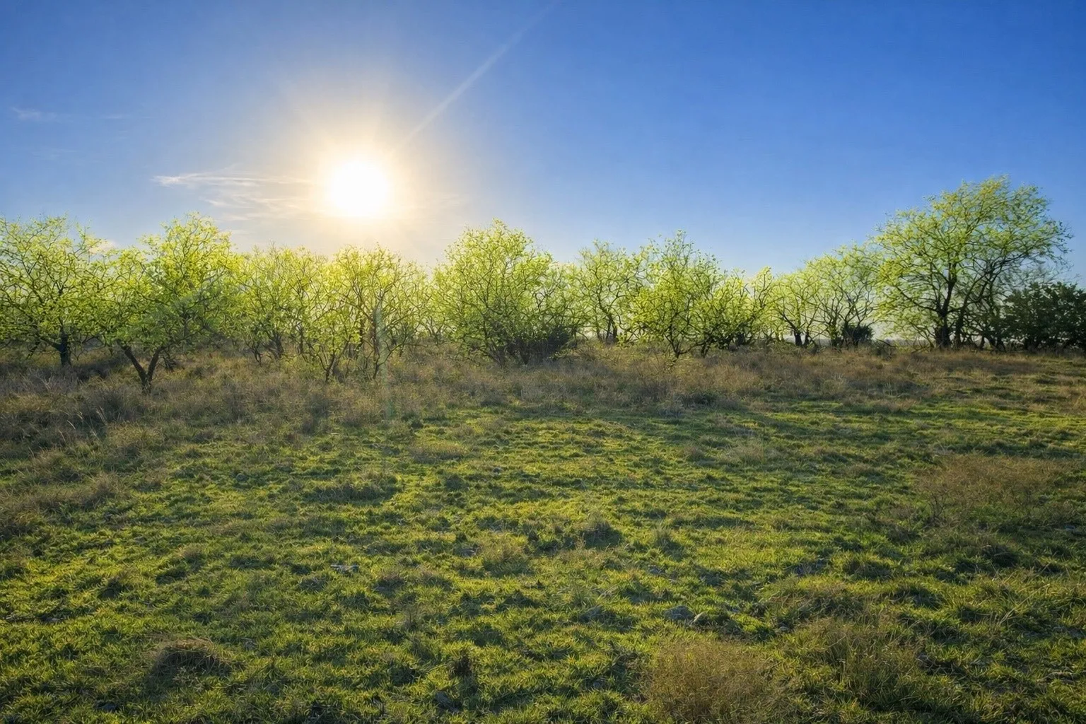 Improved Land For Sale in Hamilton County , TBD County Road 224, Jonesboro, Texas 76538, 0, 0, Garage spaces, 0 Sqft, built in 0, Price $1,272,700, mls#21205167, Real Estate Agent in Jonesboro, Homes For Sale in Hamilton county, Homes For Sale in Jonesboro, Realtor in Jonesboro Texas, Real Estate Brokerage Independent Realty Texas, Luminita Cordes Realtor