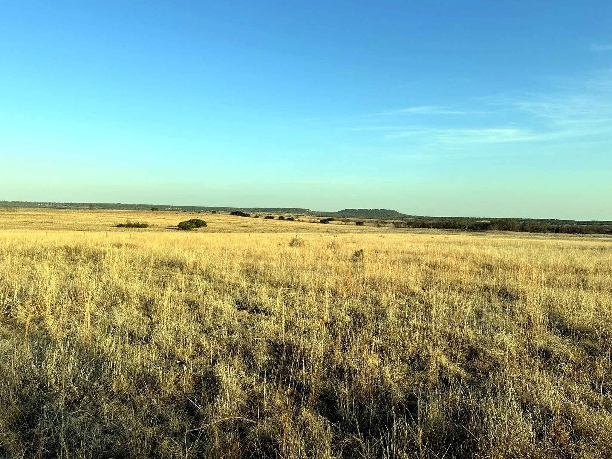 Improved Land For Sale in Hamilton County , TBD County Road 224, Jonesboro, Texas 76538, 0, 0, Garage spaces, 0 Sqft, built in 0, Price $1,272,700, mls#21205167, Real Estate Agent in Jonesboro, Homes For Sale in Hamilton county, Homes For Sale in Jonesboro, Realtor in Jonesboro Texas, Real Estate Brokerage Independent Realty Texas, Luminita Cordes Realtor