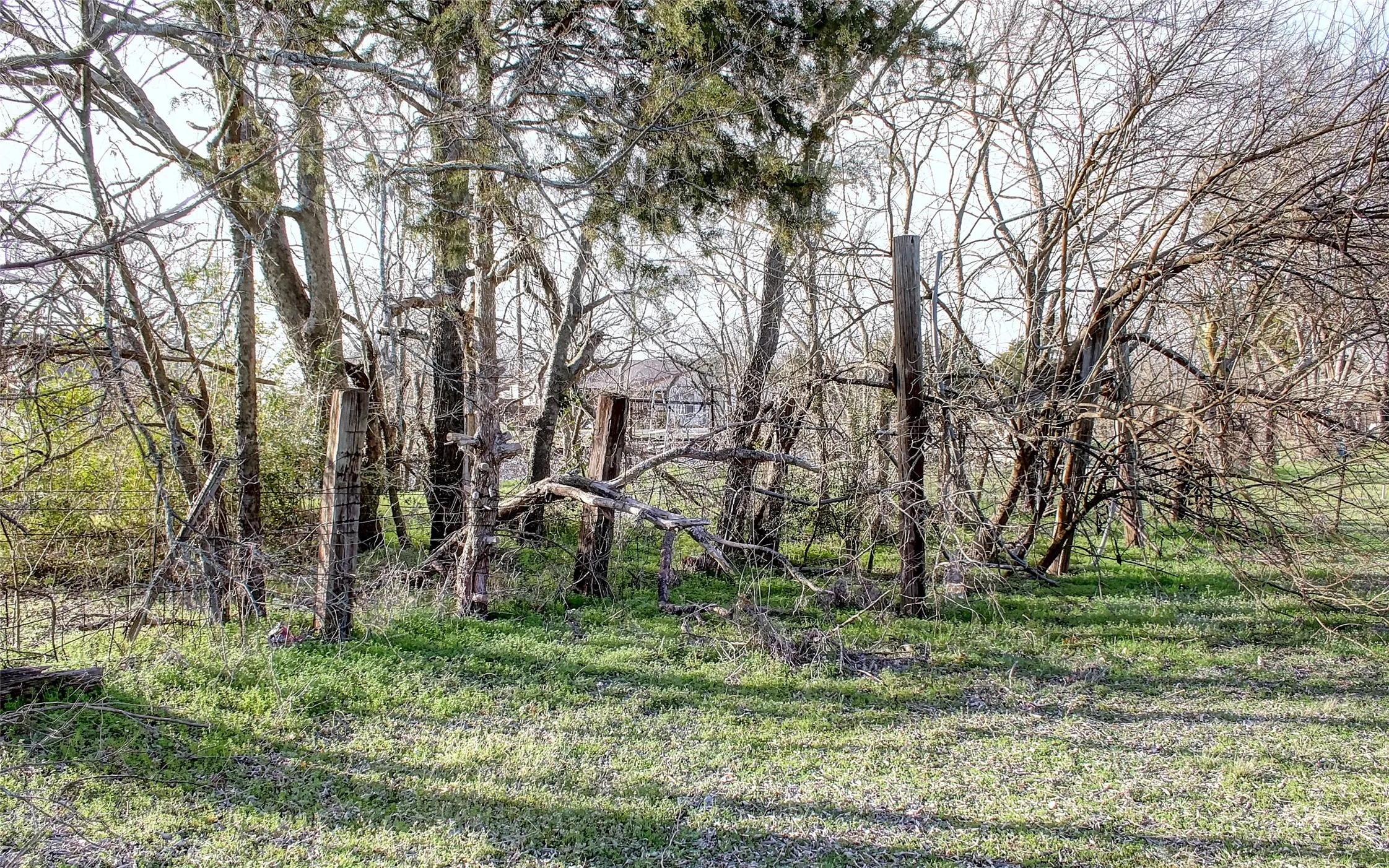 Improved Land For Sale in Collin County , 601 N Sherley Avenue, Anna, Texas 75409, 0, 0, Garage spaces, 0 Sqft, built in 0, Price $150,000, mls#21204426, Real Estate Agent in Anna, Homes For Sale in Collin county, Homes For Sale in Anna, Realtor in Anna Texas, Real Estate Brokerage Independent Realty Texas, Luminita Cordes Realtor