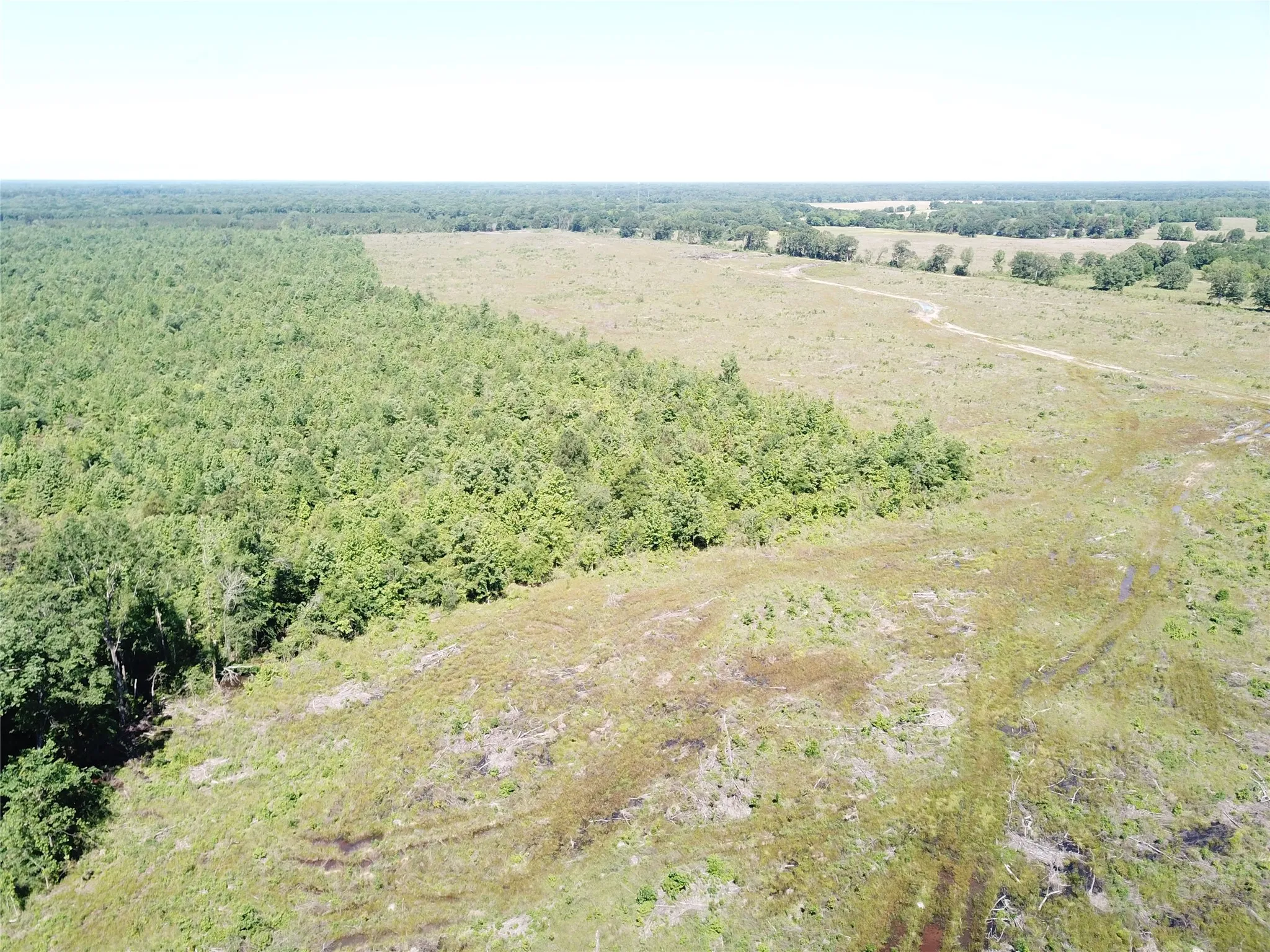 Unimproved Land For Sale in Bowie County , 00 County Road 4308, Simms, Texas 75574, 0, 0, Garage spaces, 0 Sqft, built in 0, mls#21205233, Real Estate Agent in Simms, Homes For Sale in Bowie county, Homes For Sale in Simms, Realtor in Simms Texas, Real Estate Brokerage Independent Realty Texas, Luminita Cordes Realtor