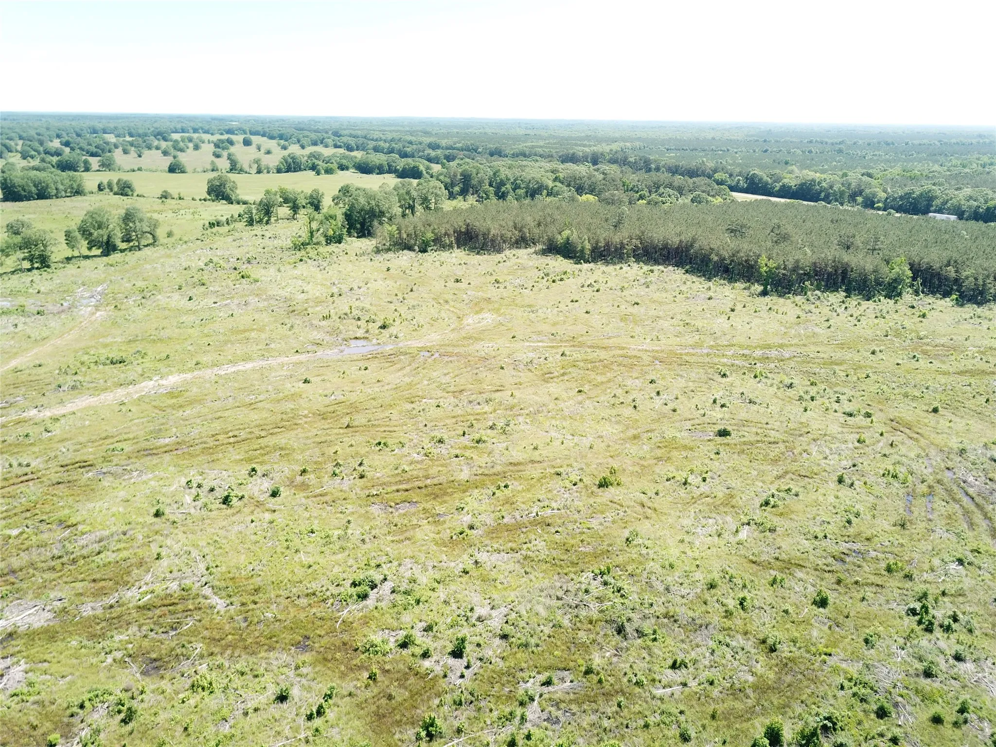 Unimproved Land For Sale in Bowie County , 00 County Road 4308, Simms, Texas 75574, 0, 0, Garage spaces, 0 Sqft, built in 0, mls#21205233, Real Estate Agent in Simms, Homes For Sale in Bowie county, Homes For Sale in Simms, Realtor in Simms Texas, Real Estate Brokerage Independent Realty Texas, Luminita Cordes Realtor