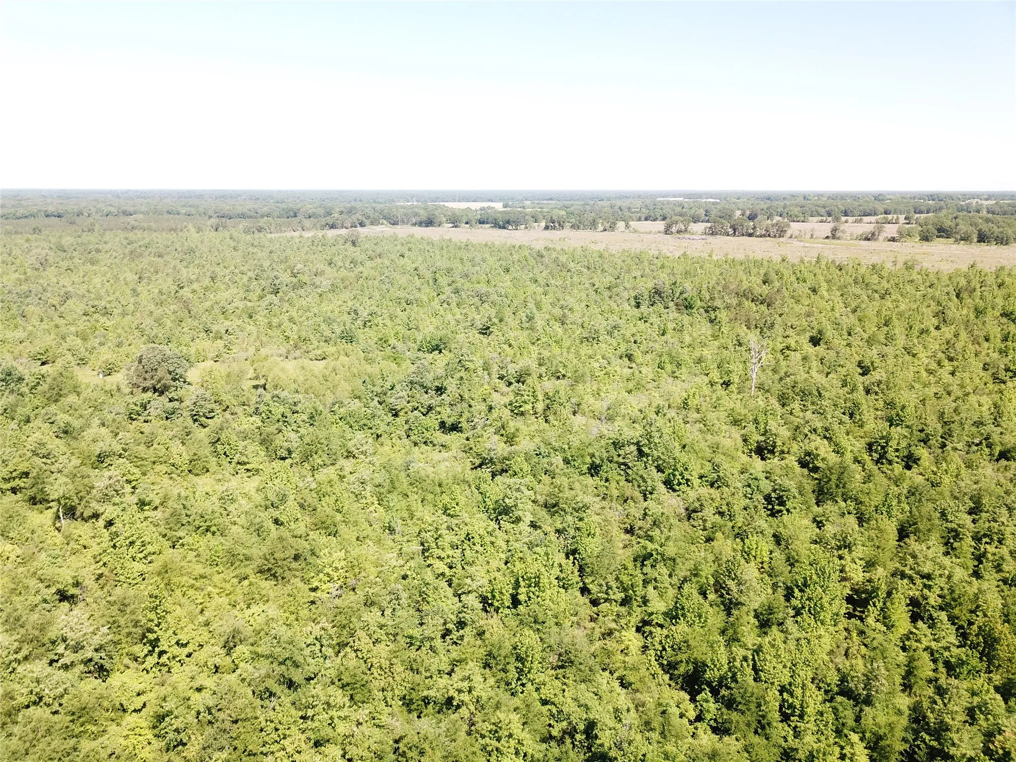 Unimproved Land For Sale in Bowie County , 00 County Road 4308, Simms, Texas 75574, 0, 0, Garage spaces, 0 Sqft, built in 0, mls#21205233, Real Estate Agent in Simms, Homes For Sale in Bowie county, Homes For Sale in Simms, Realtor in Simms Texas, Real Estate Brokerage Independent Realty Texas, Luminita Cordes Realtor