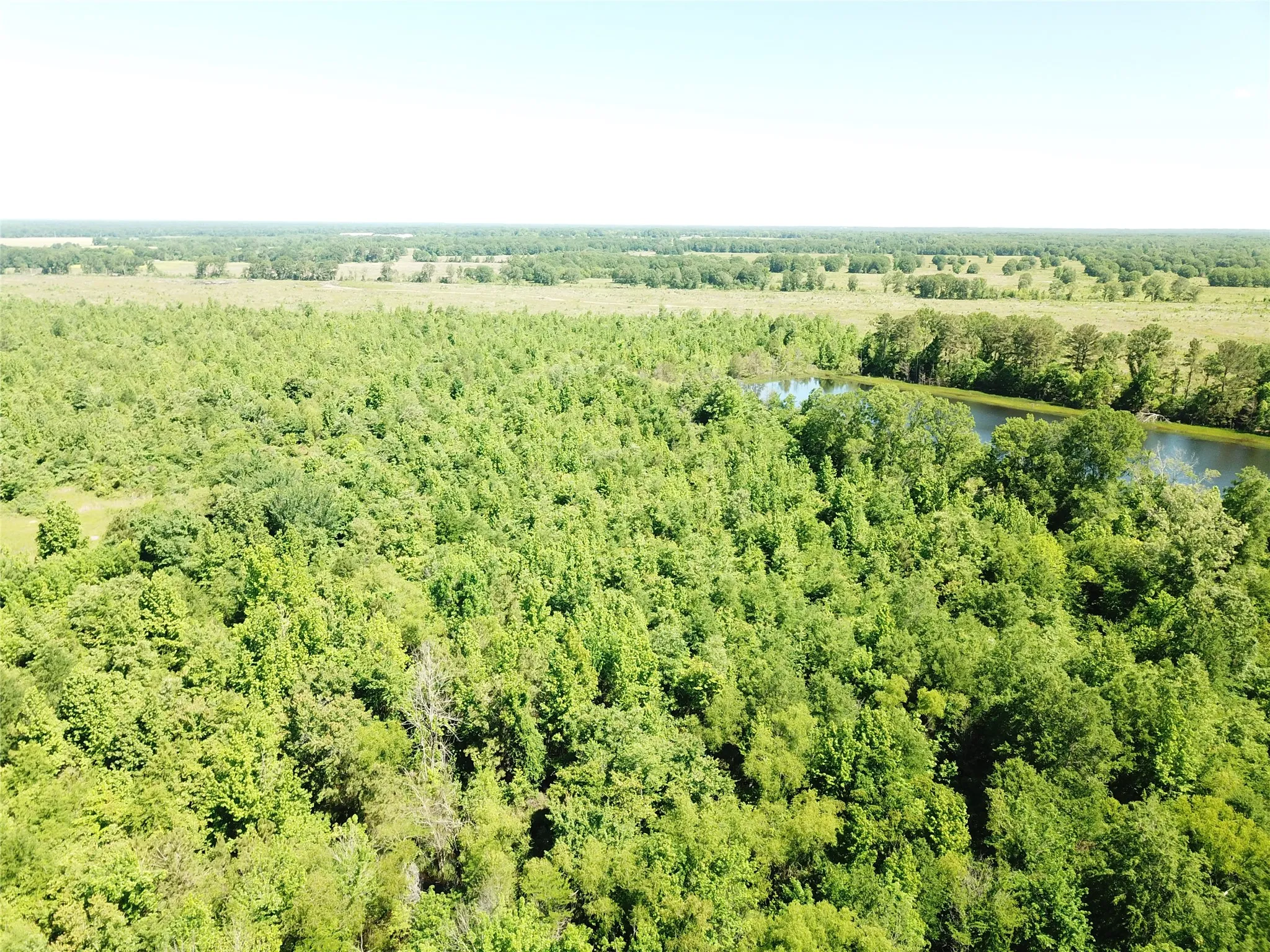 Unimproved Land For Sale in Bowie County , 00 County Road 4308, Simms, Texas 75574, 0, 0, Garage spaces, 0 Sqft, built in 0, mls#21205233, Real Estate Agent in Simms, Homes For Sale in Bowie county, Homes For Sale in Simms, Realtor in Simms Texas, Real Estate Brokerage Independent Realty Texas, Luminita Cordes Realtor