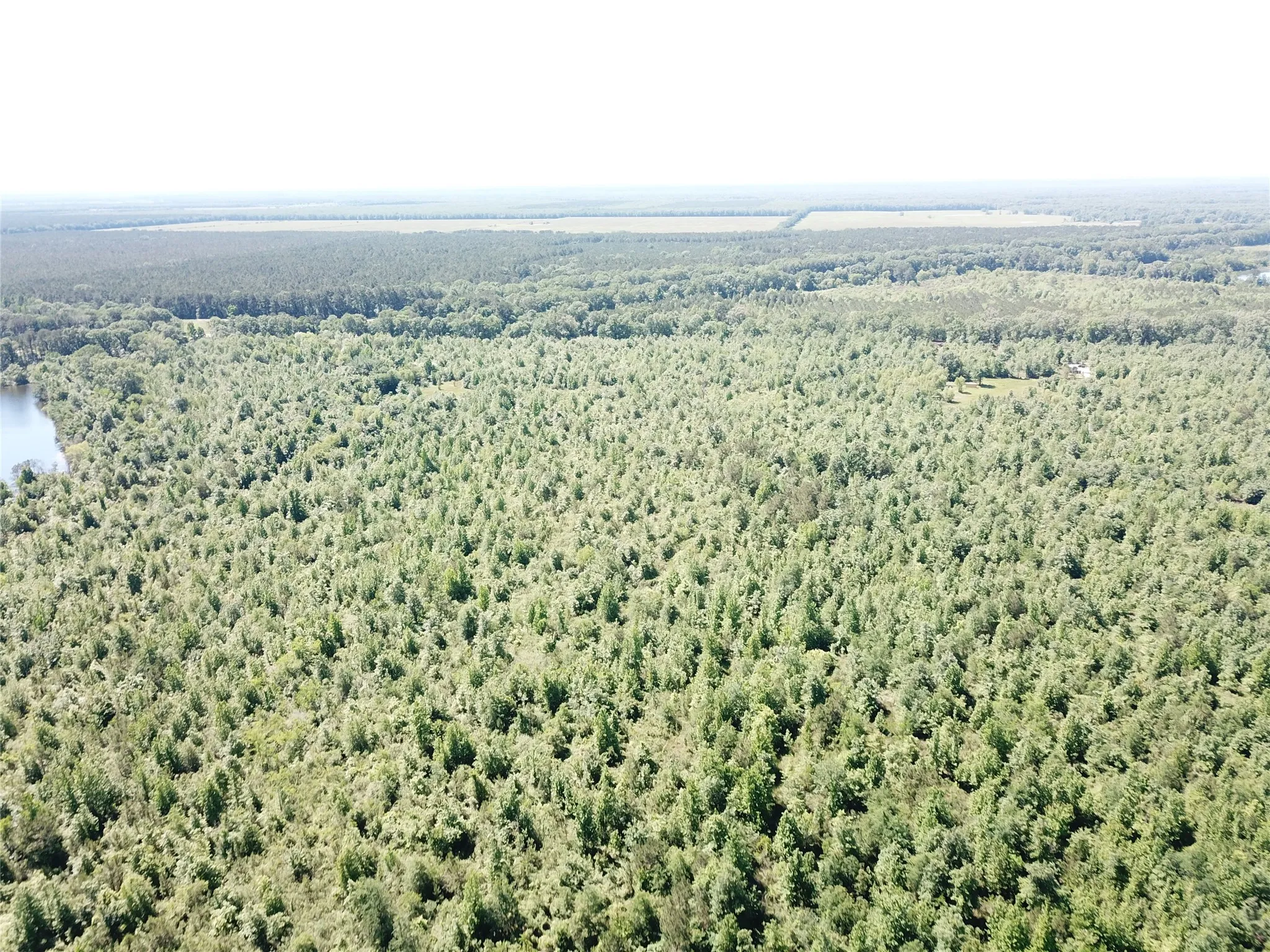 Unimproved Land For Sale in Bowie County , 00 County Road 4308, Simms, Texas 75574, 0, 0, Garage spaces, 0 Sqft, built in 0, mls#21205233, Real Estate Agent in Simms, Homes For Sale in Bowie county, Homes For Sale in Simms, Realtor in Simms Texas, Real Estate Brokerage Independent Realty Texas, Luminita Cordes Realtor