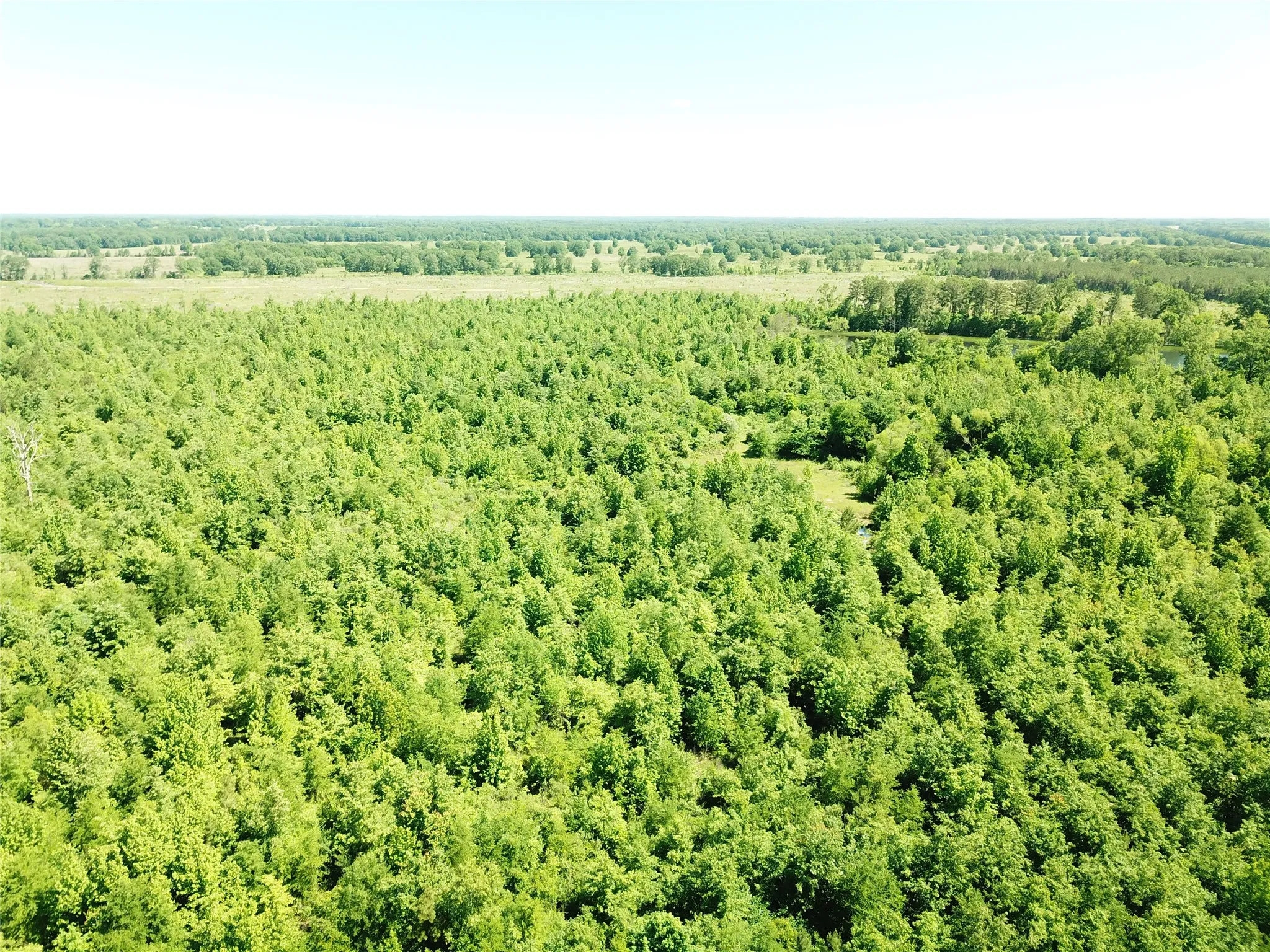 Unimproved Land For Sale in Bowie County , 00 County Road 4308, Simms, Texas 75574, 0, 0, Garage spaces, 0 Sqft, built in 0, mls#21205233, Real Estate Agent in Simms, Homes For Sale in Bowie county, Homes For Sale in Simms, Realtor in Simms Texas, Real Estate Brokerage Independent Realty Texas, Luminita Cordes Realtor