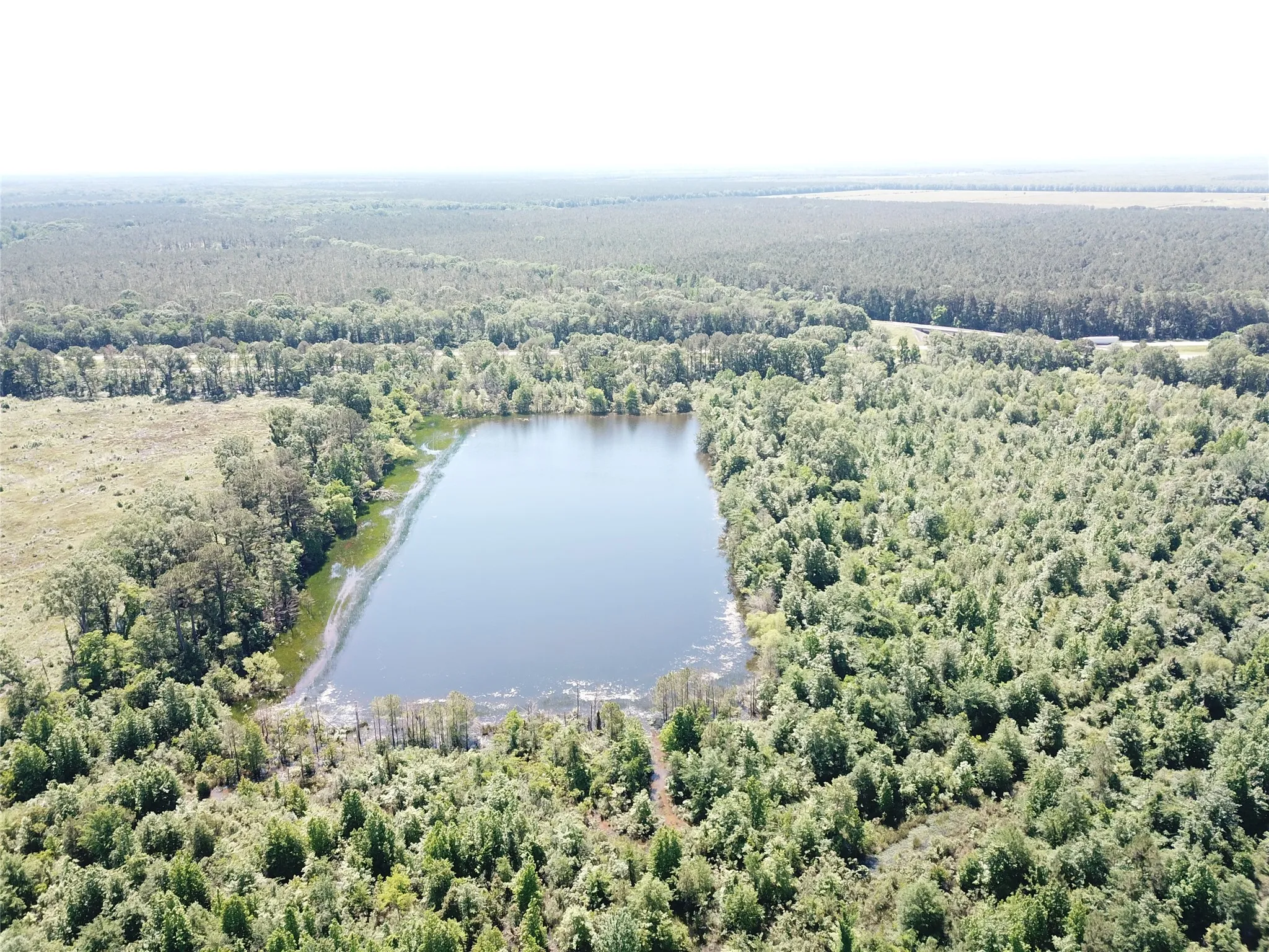 Unimproved Land For Sale in Bowie County , 00 County Road 4308, Simms, Texas 75574, 0, 0, Garage spaces, 0 Sqft, built in 0, mls#21205233, Real Estate Agent in Simms, Homes For Sale in Bowie county, Homes For Sale in Simms, Realtor in Simms Texas, Real Estate Brokerage Independent Realty Texas, Luminita Cordes Realtor