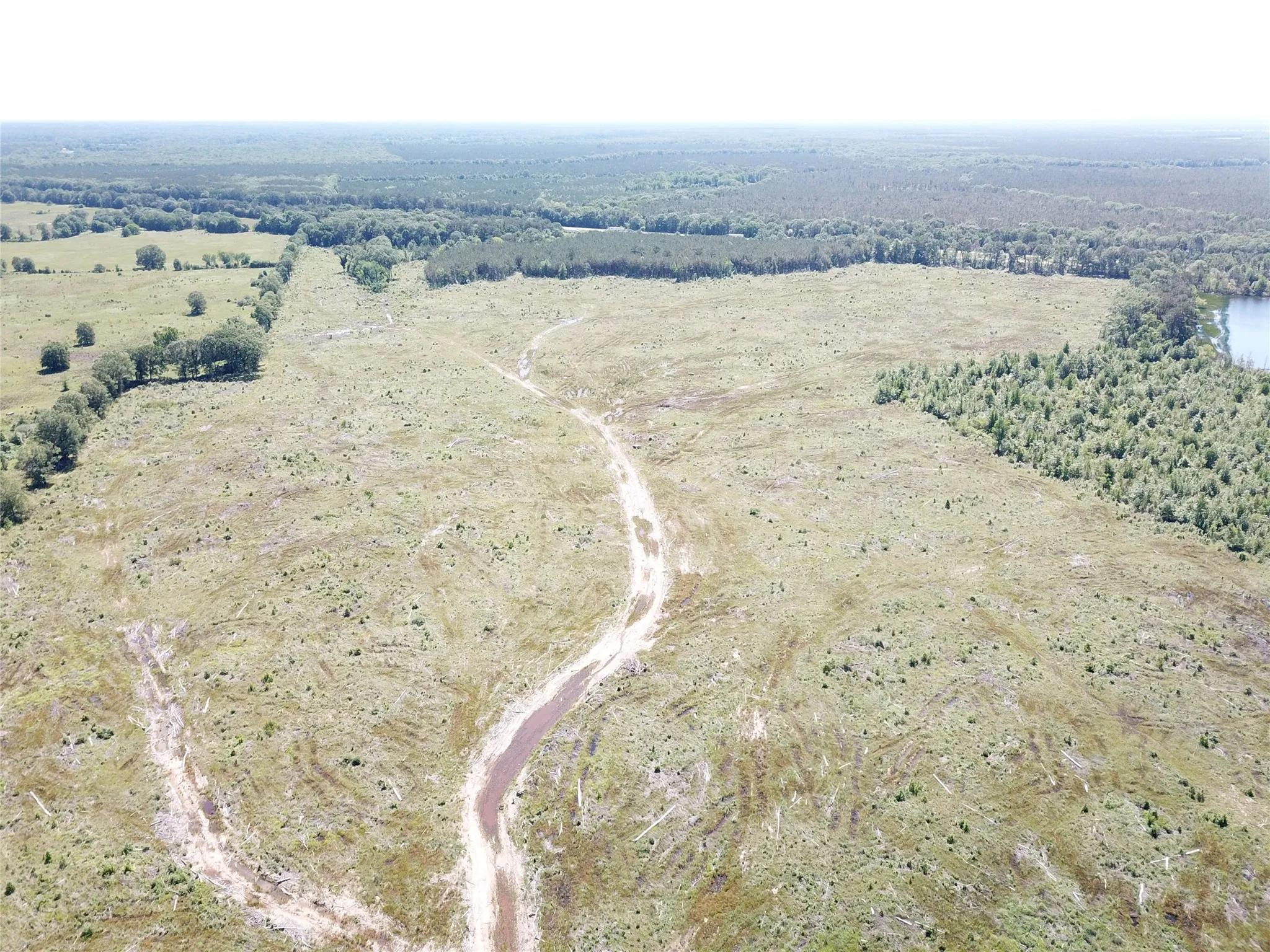 Unimproved Land For Sale in Bowie County , 00 County Road 4308, Simms, Texas 75574, 0, 0, Garage spaces, 0 Sqft, built in 0, mls#21205233, Real Estate Agent in Simms, Homes For Sale in Bowie county, Homes For Sale in Simms, Realtor in Simms Texas, Real Estate Brokerage Independent Realty Texas, Luminita Cordes Realtor