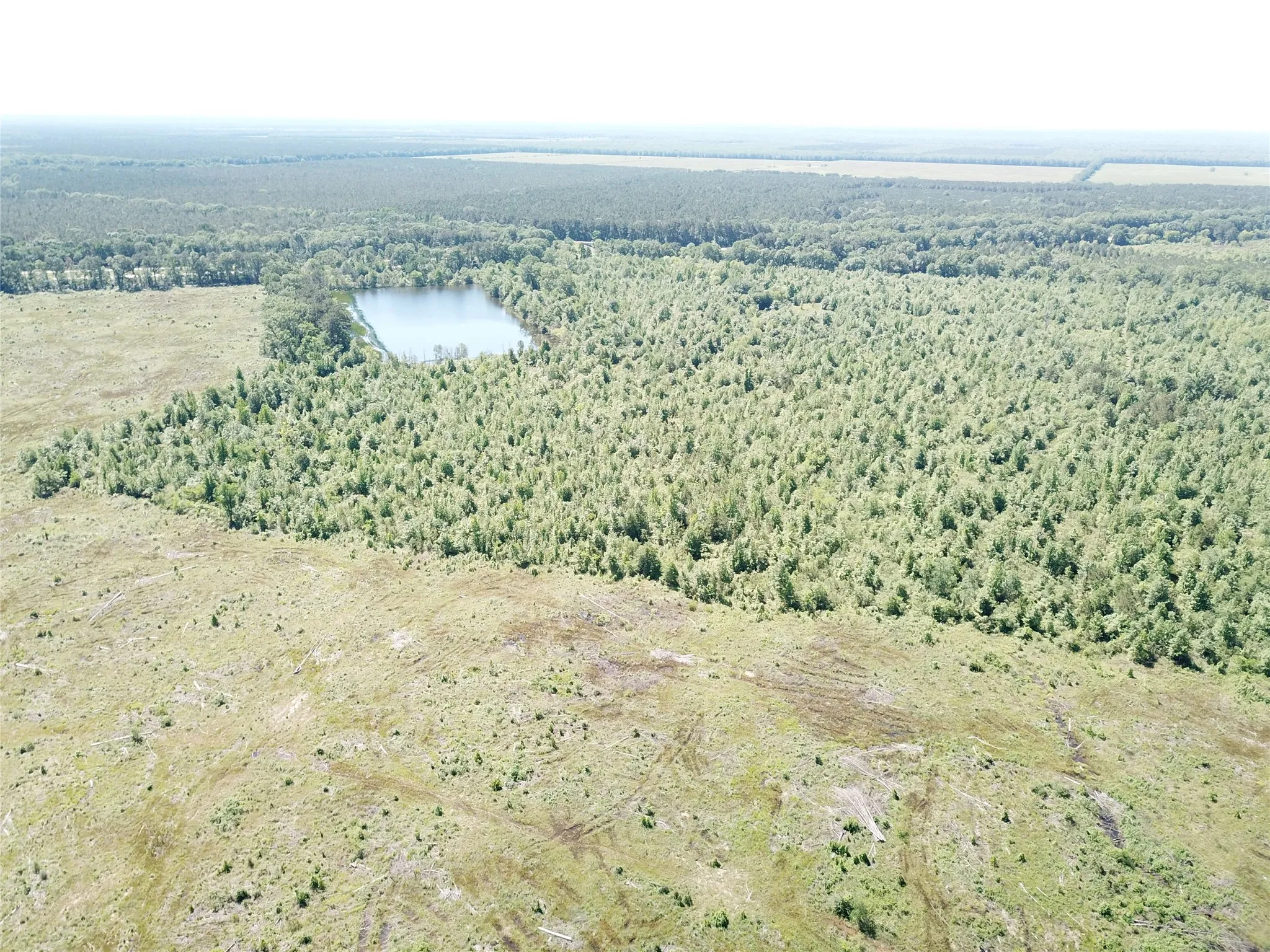 Unimproved Land For Sale in Bowie County , 00 County Road 4308, Simms, Texas 75574, 0, 0, Garage spaces, 0 Sqft, built in 0, mls#21205233, Real Estate Agent in Simms, Homes For Sale in Bowie county, Homes For Sale in Simms, Realtor in Simms Texas, Real Estate Brokerage Independent Realty Texas, Luminita Cordes Realtor
