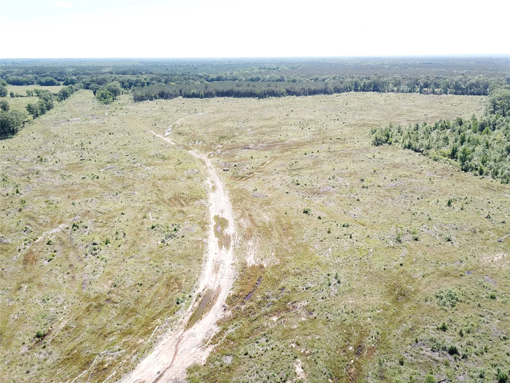 Unimproved Land For Sale in Bowie County , 00 County Road 4308, Simms, Texas 75574, 0, 0, Garage spaces, 0 Sqft, built in 0, mls#21205233, Real Estate Agent in Simms, Homes For Sale in Bowie county, Homes For Sale in Simms, Realtor in Simms Texas, Real Estate Brokerage Independent Realty Texas, Luminita Cordes Realtor