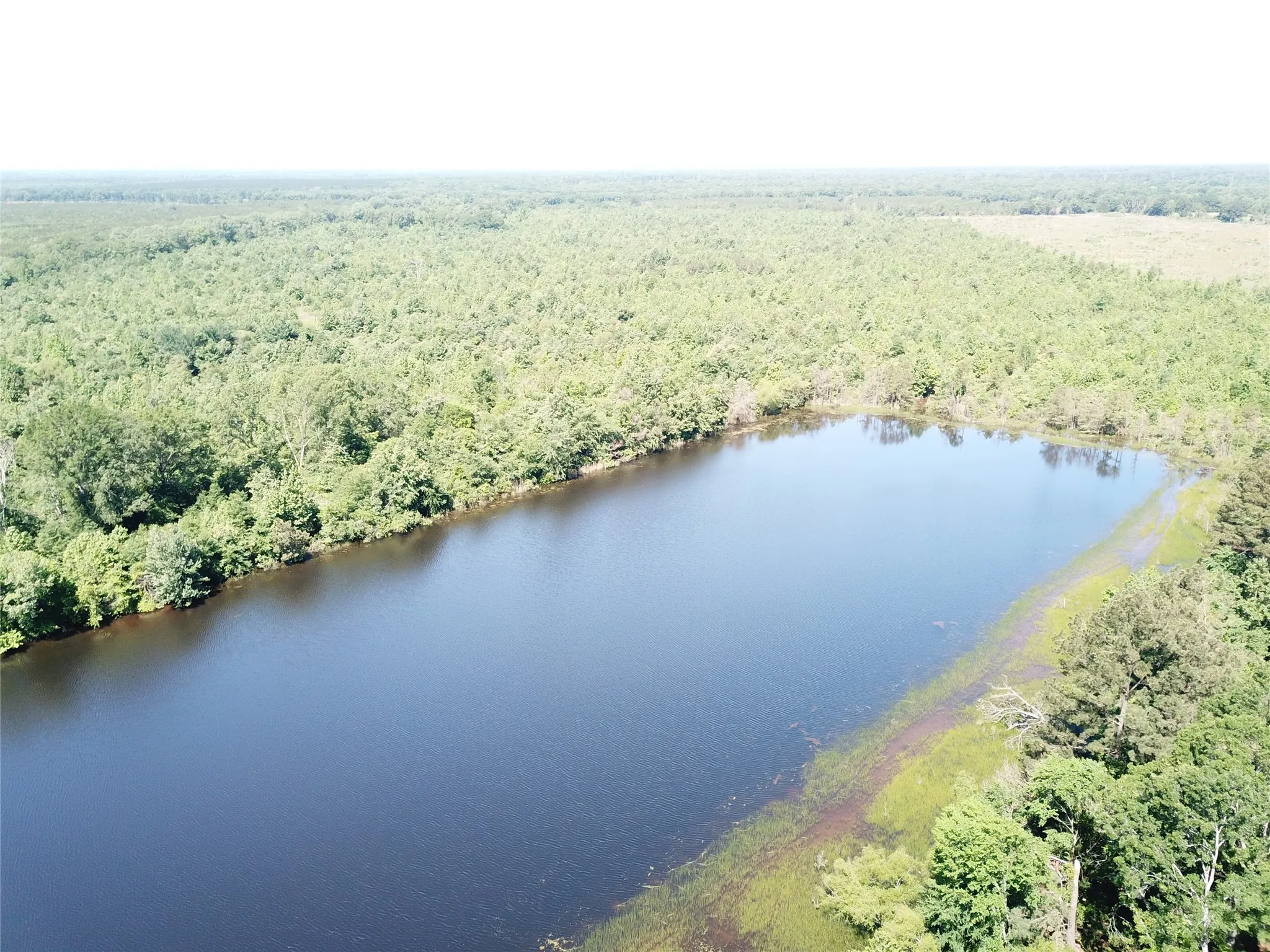 Unimproved Land For Sale in Bowie County , 00 County Road 4308, Simms, Texas 75574, 0, 0, Garage spaces, 0 Sqft, built in 0, mls#21205233, Real Estate Agent in Simms, Homes For Sale in Bowie county, Homes For Sale in Simms, Realtor in Simms Texas, Real Estate Brokerage Independent Realty Texas, Luminita Cordes Realtor
