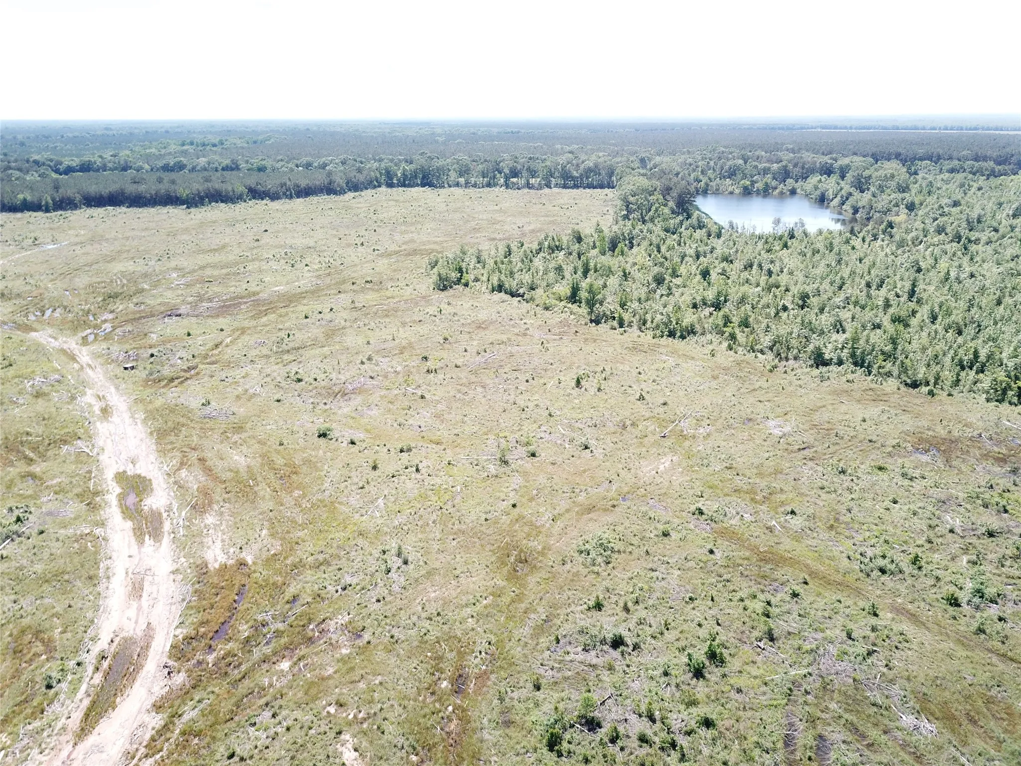 Unimproved Land For Sale in Bowie County , 00 County Road 4308, Simms, Texas 75574, 0, 0, Garage spaces, 0 Sqft, built in 0, mls#21205233, Real Estate Agent in Simms, Homes For Sale in Bowie county, Homes For Sale in Simms, Realtor in Simms Texas, Real Estate Brokerage Independent Realty Texas, Luminita Cordes Realtor