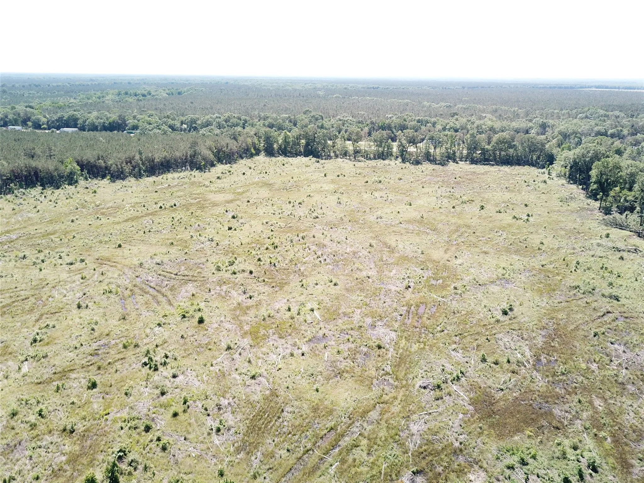 Unimproved Land For Sale in Bowie County , 00 County Road 4308, Simms, Texas 75574, 0, 0, Garage spaces, 0 Sqft, built in 0, mls#21205233, Real Estate Agent in Simms, Homes For Sale in Bowie county, Homes For Sale in Simms, Realtor in Simms Texas, Real Estate Brokerage Independent Realty Texas, Luminita Cordes Realtor