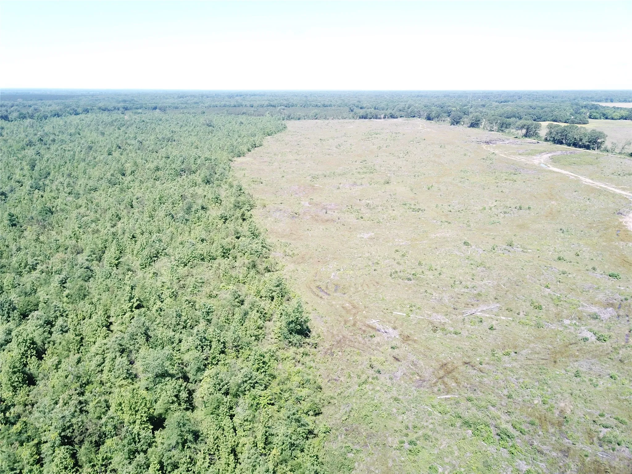 Unimproved Land For Sale in Bowie County , 00 County Road 4308, Simms, Texas 75574, 0, 0, Garage spaces, 0 Sqft, built in 0, mls#21205233, Real Estate Agent in Simms, Homes For Sale in Bowie county, Homes For Sale in Simms, Realtor in Simms Texas, Real Estate Brokerage Independent Realty Texas, Luminita Cordes Realtor