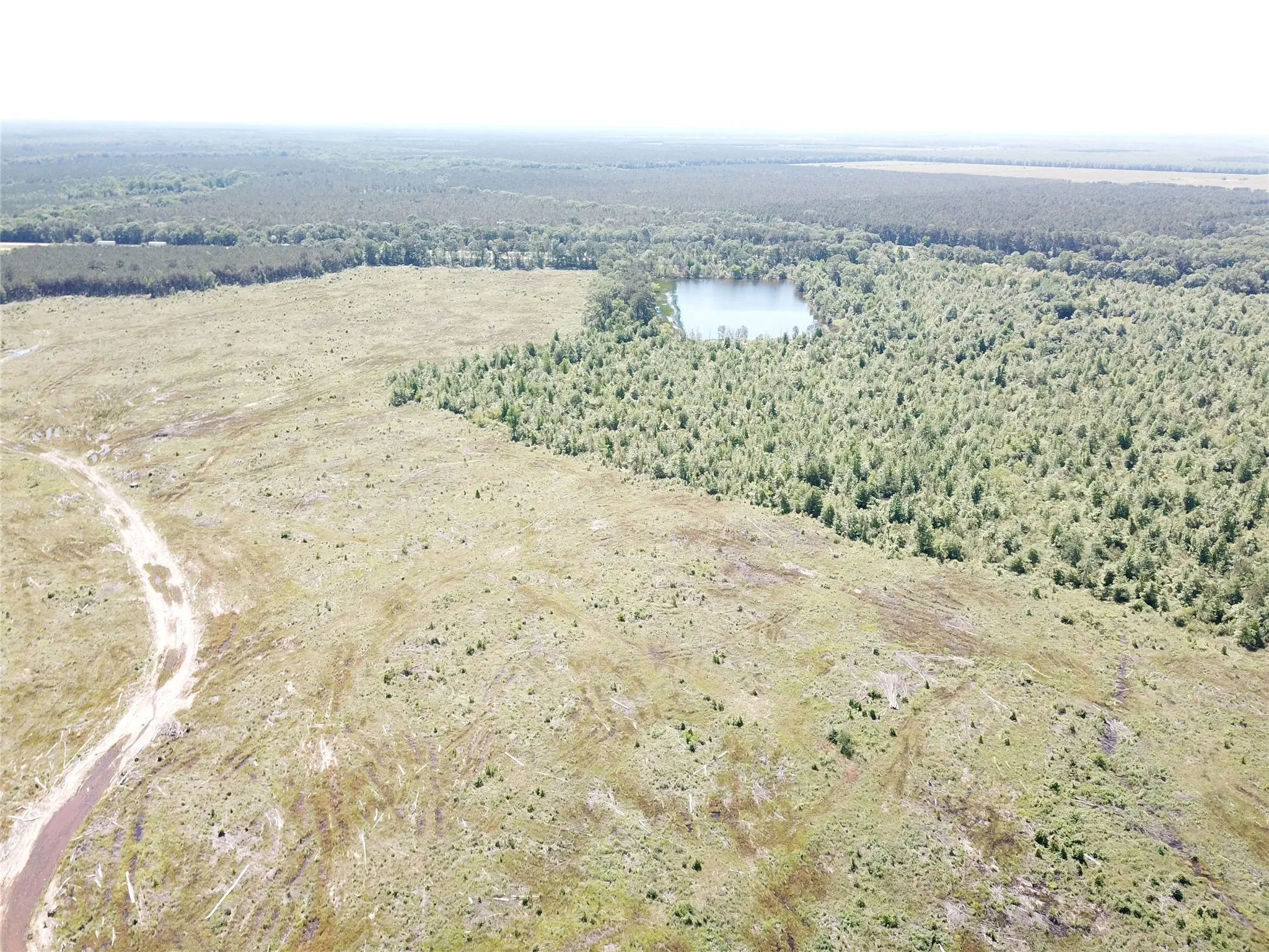 Unimproved Land For Sale in Bowie County , 00 County Road 4308, Simms, Texas 75574, 0, 0, Garage spaces, 0 Sqft, built in 0, mls#21205233, Real Estate Agent in Simms, Homes For Sale in Bowie county, Homes For Sale in Simms, Realtor in Simms Texas, Real Estate Brokerage Independent Realty Texas, Luminita Cordes Realtor