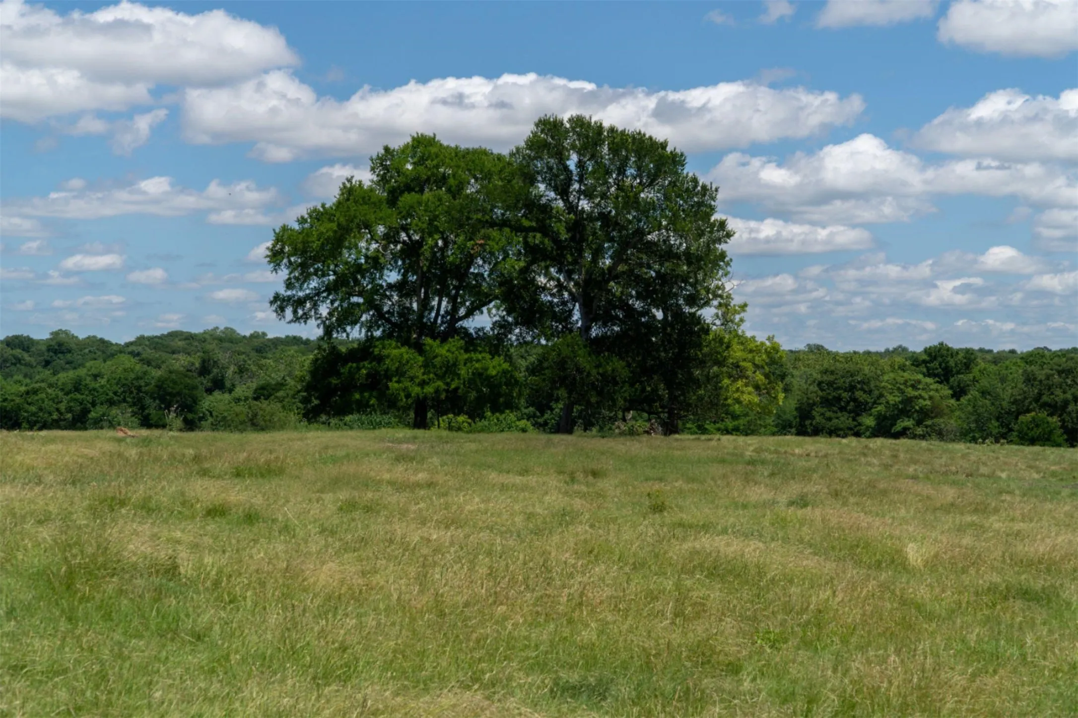 Mobile Home For Sale in Grayson County , 248 -Shaffer Road, Denison, Texas 75021, 2 Bedroom, 2 Bathroom, Garage spaces, 1,216 Sqft, built in 1997, Preowned, mls#21205249, Real Estate Agent in Denison, Homes For Sale in Grayson county, Homes For Sale in Denison, Realtor in Denison Texas, Real Estate Brokerage Independent Realty Texas, Luminita Cordes Realtor
