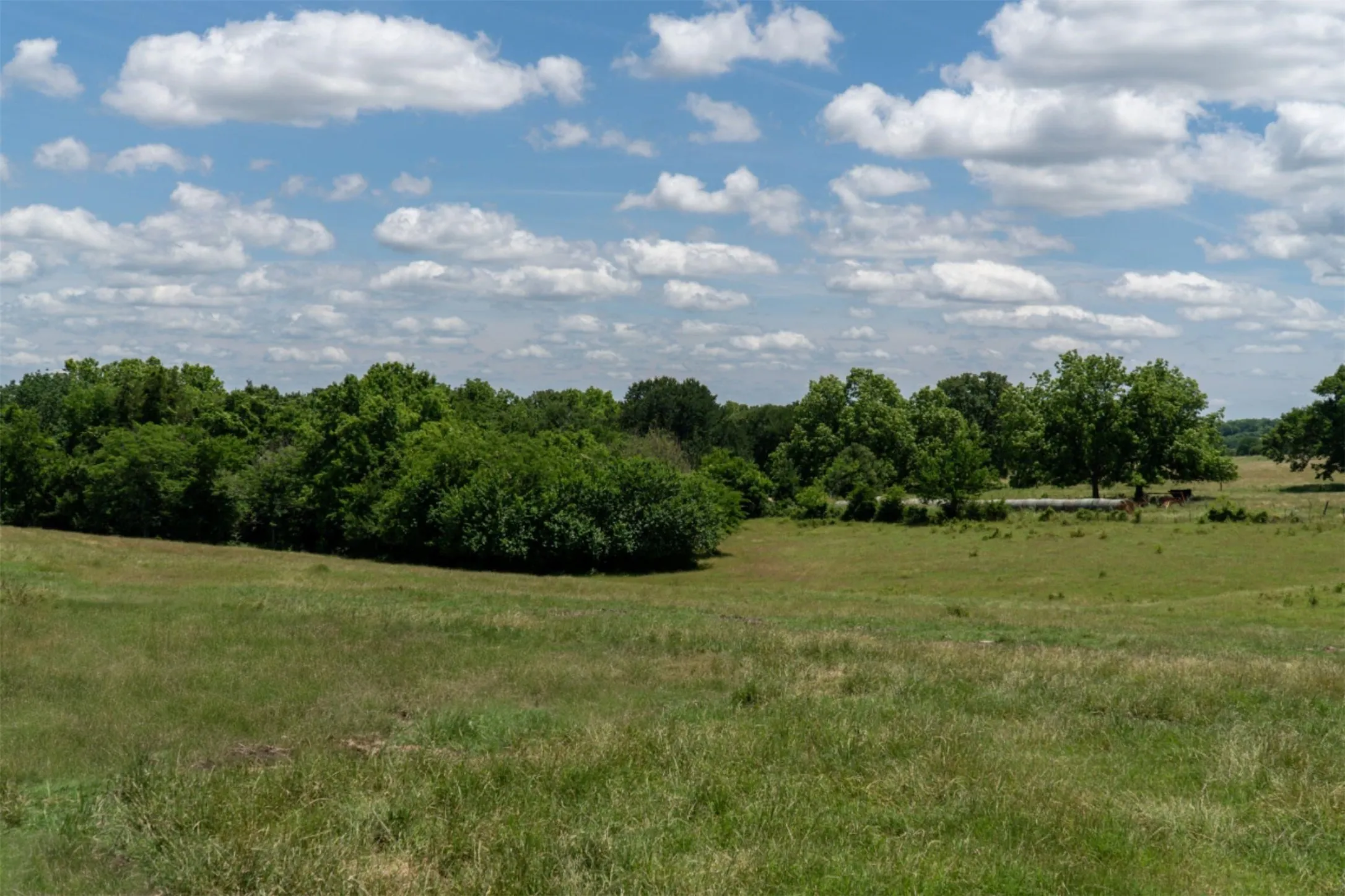 Mobile Home For Sale in Grayson County , 248 -Shaffer Road, Denison, Texas 75021, 2 Bedroom, 2 Bathroom, Garage spaces, 1,216 Sqft, built in 1997, Preowned, mls#21205249, Real Estate Agent in Denison, Homes For Sale in Grayson county, Homes For Sale in Denison, Realtor in Denison Texas, Real Estate Brokerage Independent Realty Texas, Luminita Cordes Realtor