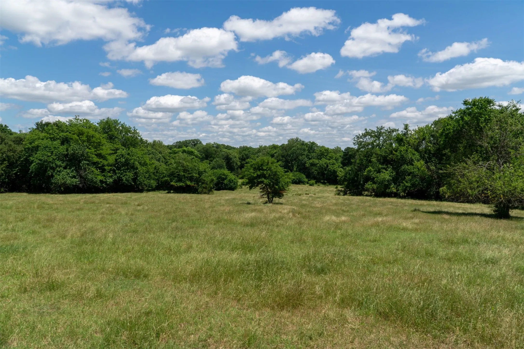 Mobile Home For Sale in Grayson County , 248 -Shaffer Road, Denison, Texas 75021, 2 Bedroom, 2 Bathroom, Garage spaces, 1,216 Sqft, built in 1997, Preowned, mls#21205249, Real Estate Agent in Denison, Homes For Sale in Grayson county, Homes For Sale in Denison, Realtor in Denison Texas, Real Estate Brokerage Independent Realty Texas, Luminita Cordes Realtor