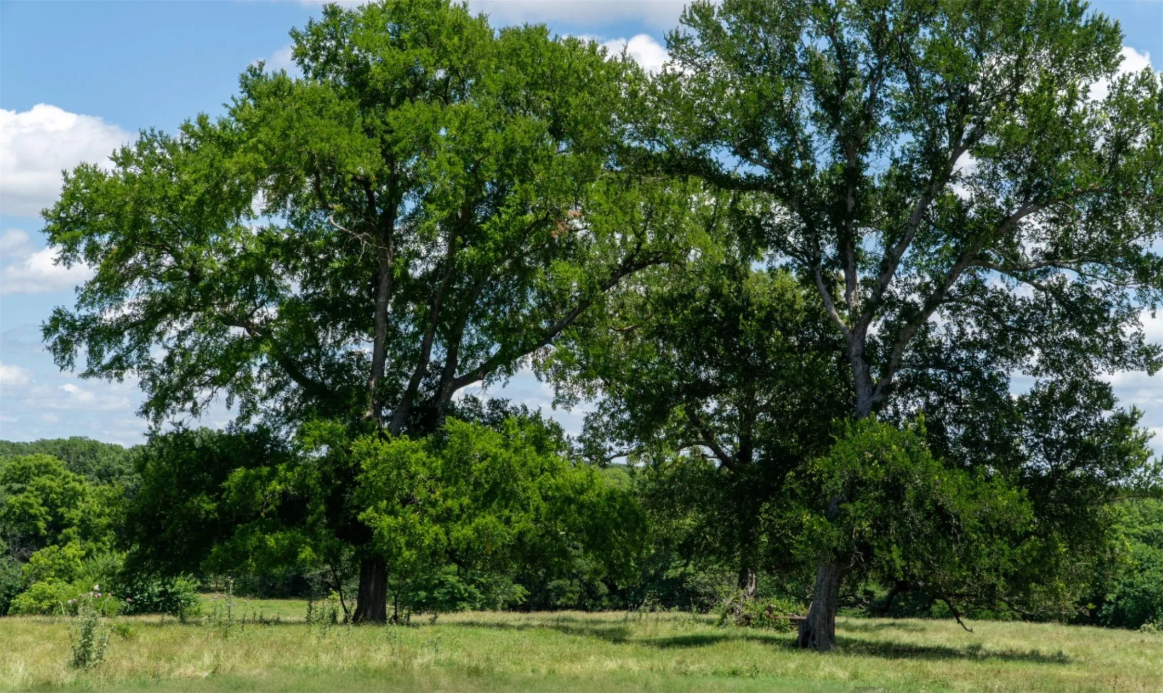 Mobile Home For Sale in Grayson County , 248 -Shaffer Road, Denison, Texas 75021, 2 Bedroom, 2 Bathroom, Garage spaces, 1,216 Sqft, built in 1997, Preowned, mls#21205249, Real Estate Agent in Denison, Homes For Sale in Grayson county, Homes For Sale in Denison, Realtor in Denison Texas, Real Estate Brokerage Independent Realty Texas, Luminita Cordes Realtor