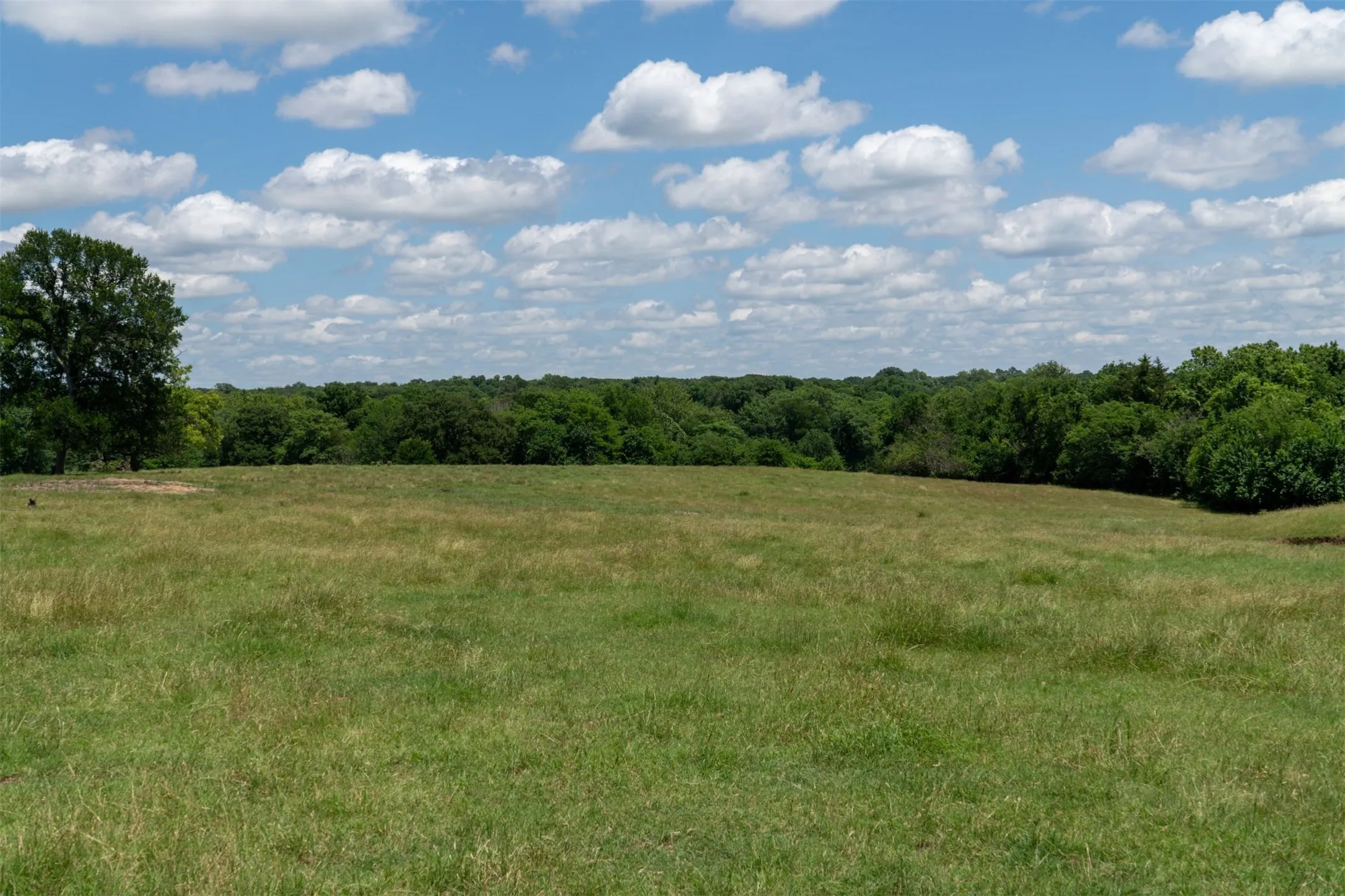 Mobile Home For Sale in Grayson County , 248 -Shaffer Road, Denison, Texas 75021, 2 Bedroom, 2 Bathroom, Garage spaces, 1,216 Sqft, built in 1997, Preowned, mls#21205249, Real Estate Agent in Denison, Homes For Sale in Grayson county, Homes For Sale in Denison, Realtor in Denison Texas, Real Estate Brokerage Independent Realty Texas, Luminita Cordes Realtor