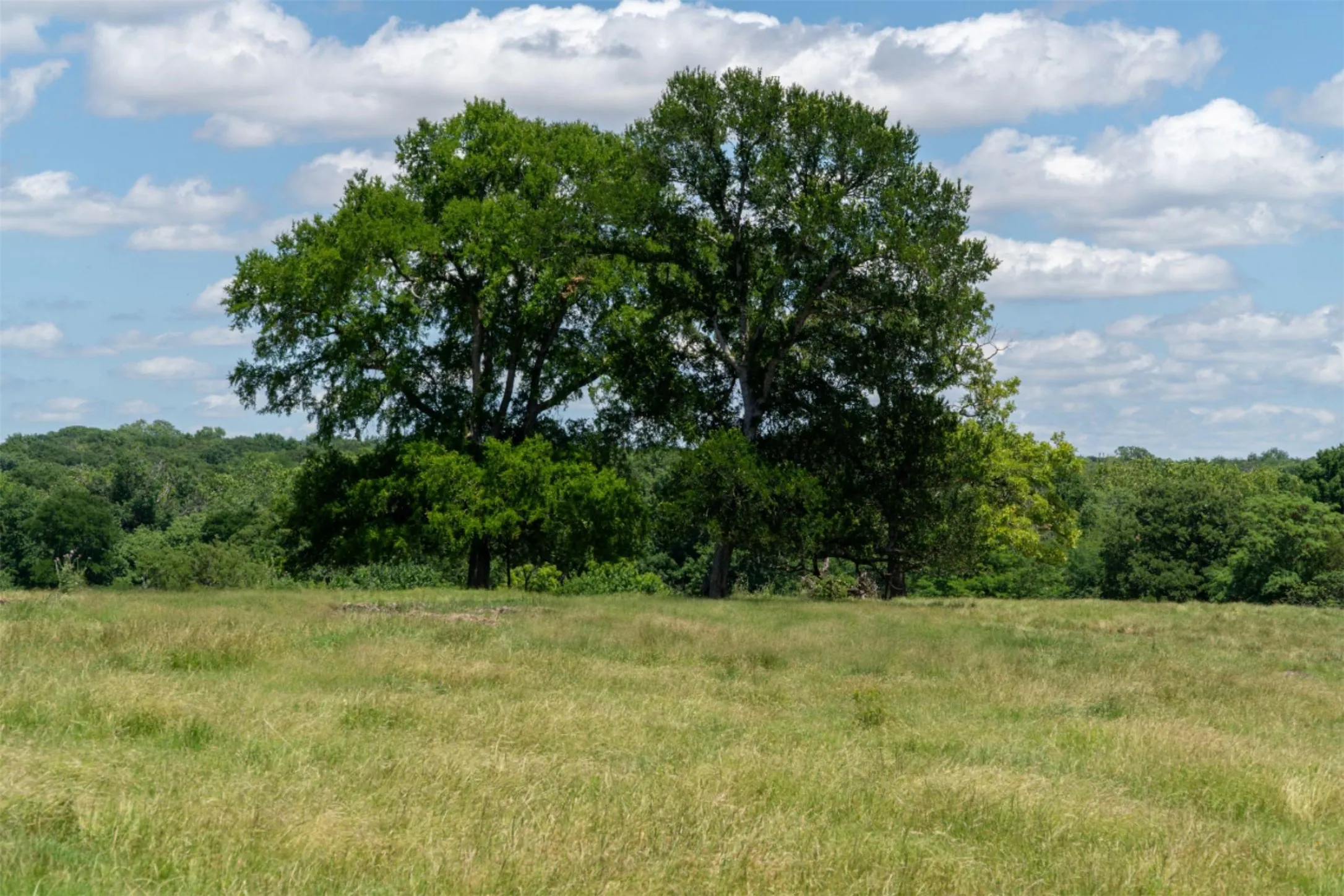 Mobile Home For Sale in Grayson County , 248 -Shaffer Road, Denison, Texas 75021, 2 Bedroom, 2 Bathroom, Garage spaces, 1,216 Sqft, built in 1997, Preowned, mls#21205249, Real Estate Agent in Denison, Homes For Sale in Grayson county, Homes For Sale in Denison, Realtor in Denison Texas, Real Estate Brokerage Independent Realty Texas, Luminita Cordes Realtor
