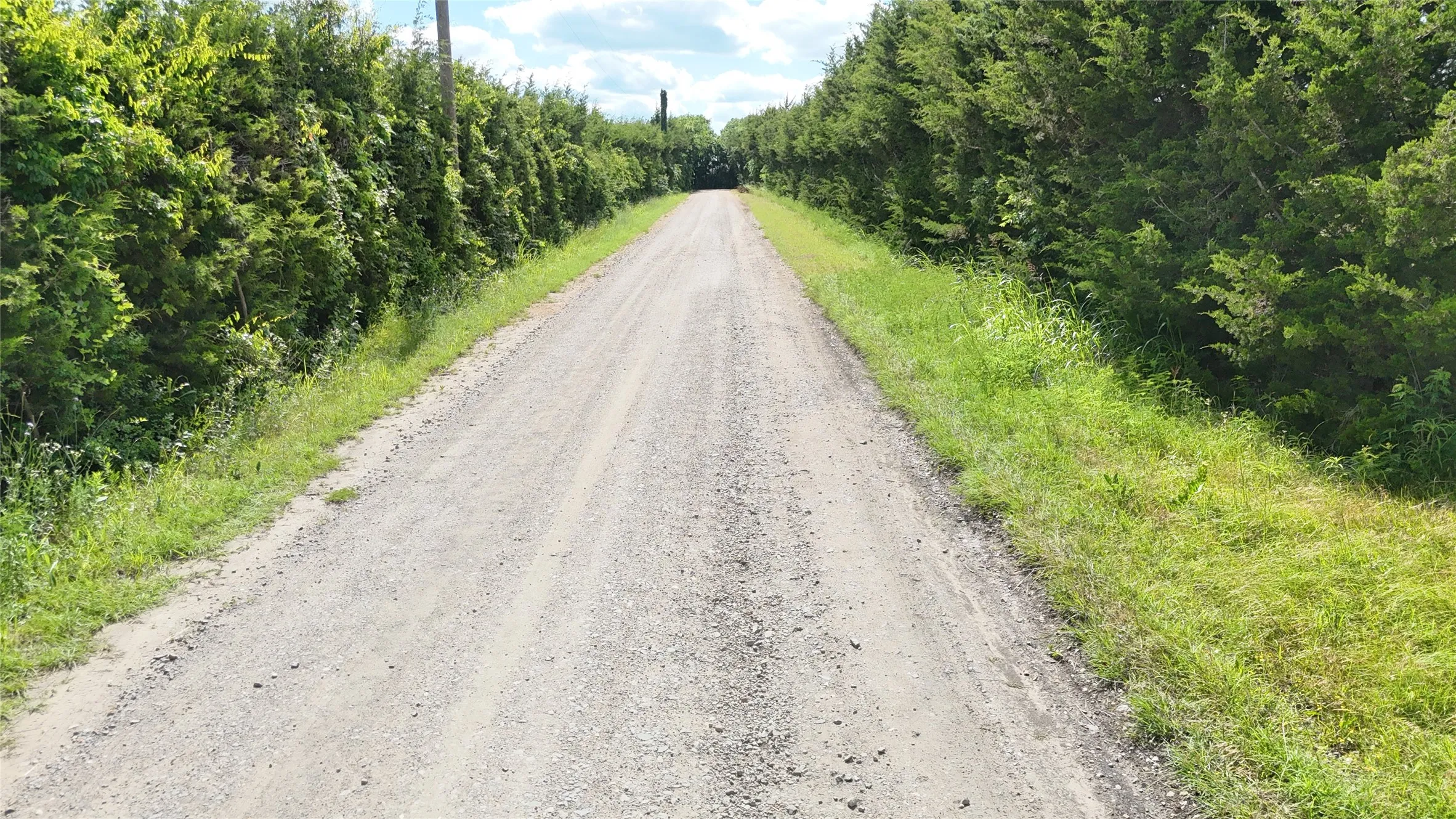 Unimproved Land For Sale in Fannin County , 1676 County Road 4668, Trenton, Texas 75490, 0, 0, Garage spaces, 0 Sqft, built in 0, mls#21178666, Real Estate Agent in Trenton, Homes For Sale in Fannin county, Homes For Sale in Trenton, Realtor in Trenton Texas, Real Estate Brokerage Independent Realty Texas, Luminita Cordes Realtor