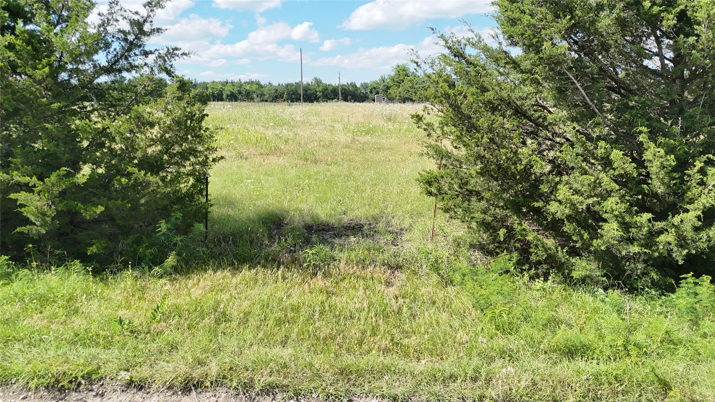 Unimproved Land For Sale in Fannin County , 1676 County Road 4668, Trenton, Texas 75490, 0, 0, Garage spaces, 0 Sqft, built in 0, mls#21178666, Real Estate Agent in Trenton, Homes For Sale in Fannin county, Homes For Sale in Trenton, Realtor in Trenton Texas, Real Estate Brokerage Independent Realty Texas, Luminita Cordes Realtor