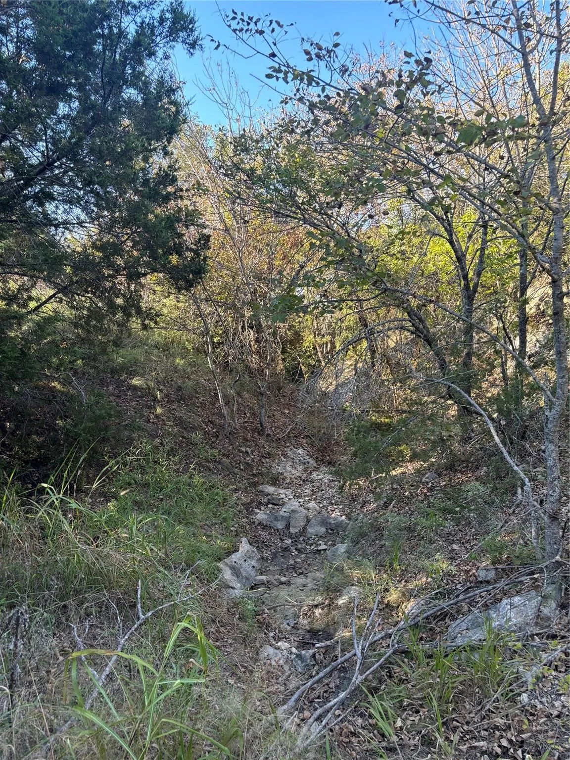 Unimproved Land For Sale in Hood County , 2401 True Grit Way, Cresson, Texas 76035, 0, 0, Garage spaces, 0 Sqft, built in 0, mls#21205968, Real Estate Agent in Cresson, Homes For Sale in Hood county, Homes For Sale in Cresson, Realtor in Cresson Texas, Real Estate Brokerage Independent Realty Texas, Luminita Cordes Realtor