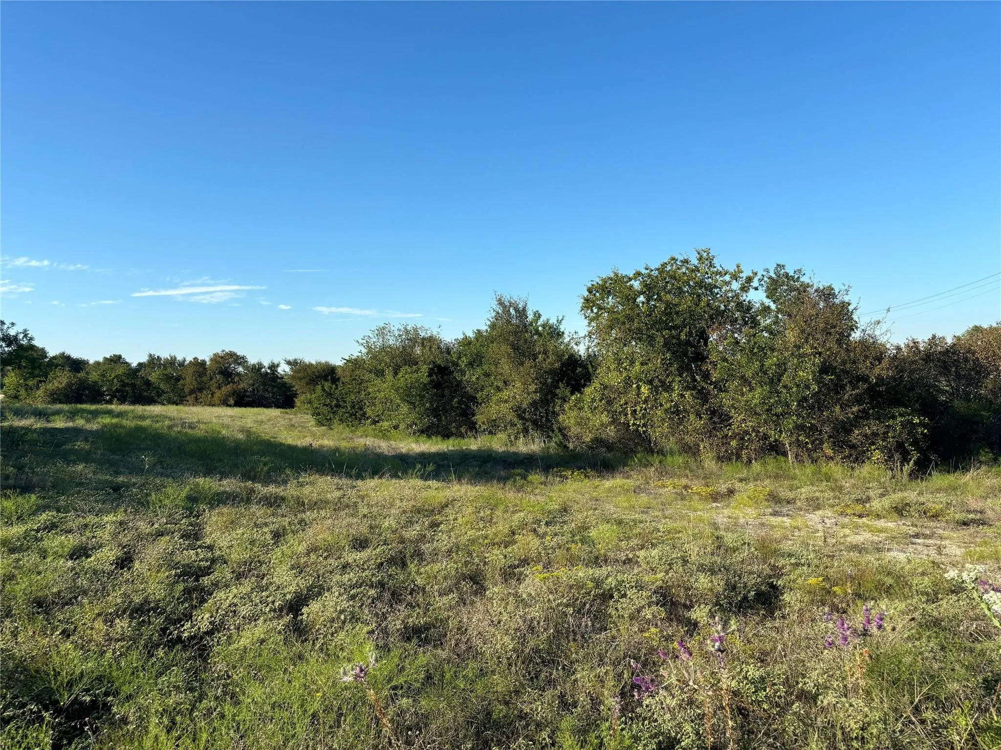 Unimproved Land For Sale in Hood County , 2401 True Grit Way, Cresson, Texas 76035, 0, 0, Garage spaces, 0 Sqft, built in 0, mls#21205968, Real Estate Agent in Cresson, Homes For Sale in Hood county, Homes For Sale in Cresson, Realtor in Cresson Texas, Real Estate Brokerage Independent Realty Texas, Luminita Cordes Realtor