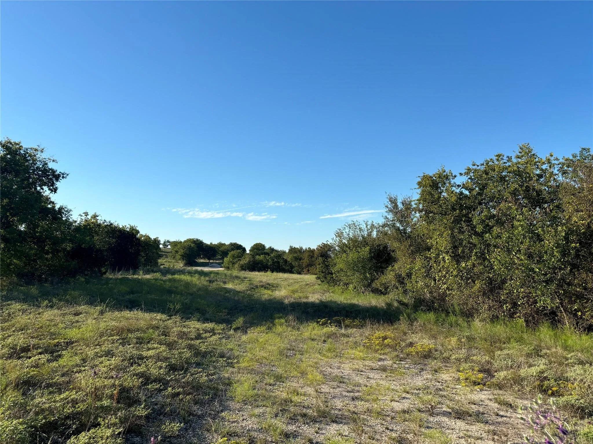 Unimproved Land For Sale in Hood County , 2401 True Grit Way, Cresson, Texas 76035, 0, 0, Garage spaces, 0 Sqft, built in 0, mls#21205968, Real Estate Agent in Cresson, Homes For Sale in Hood county, Homes For Sale in Cresson, Realtor in Cresson Texas, Real Estate Brokerage Independent Realty Texas, Luminita Cordes Realtor