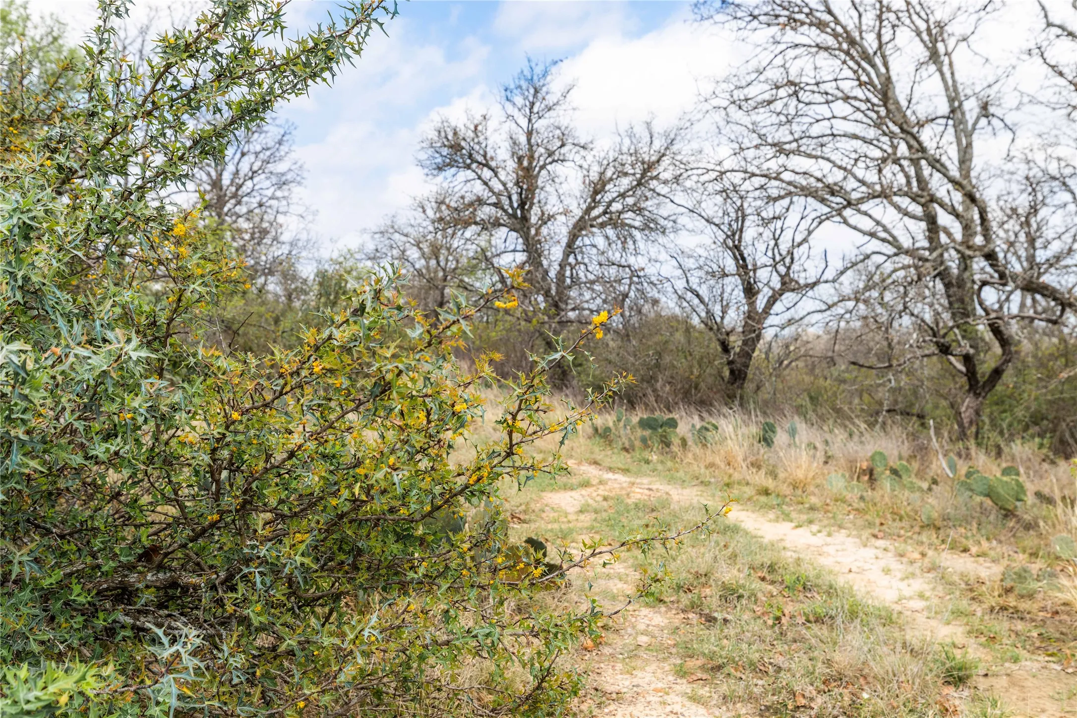 roads through out the property