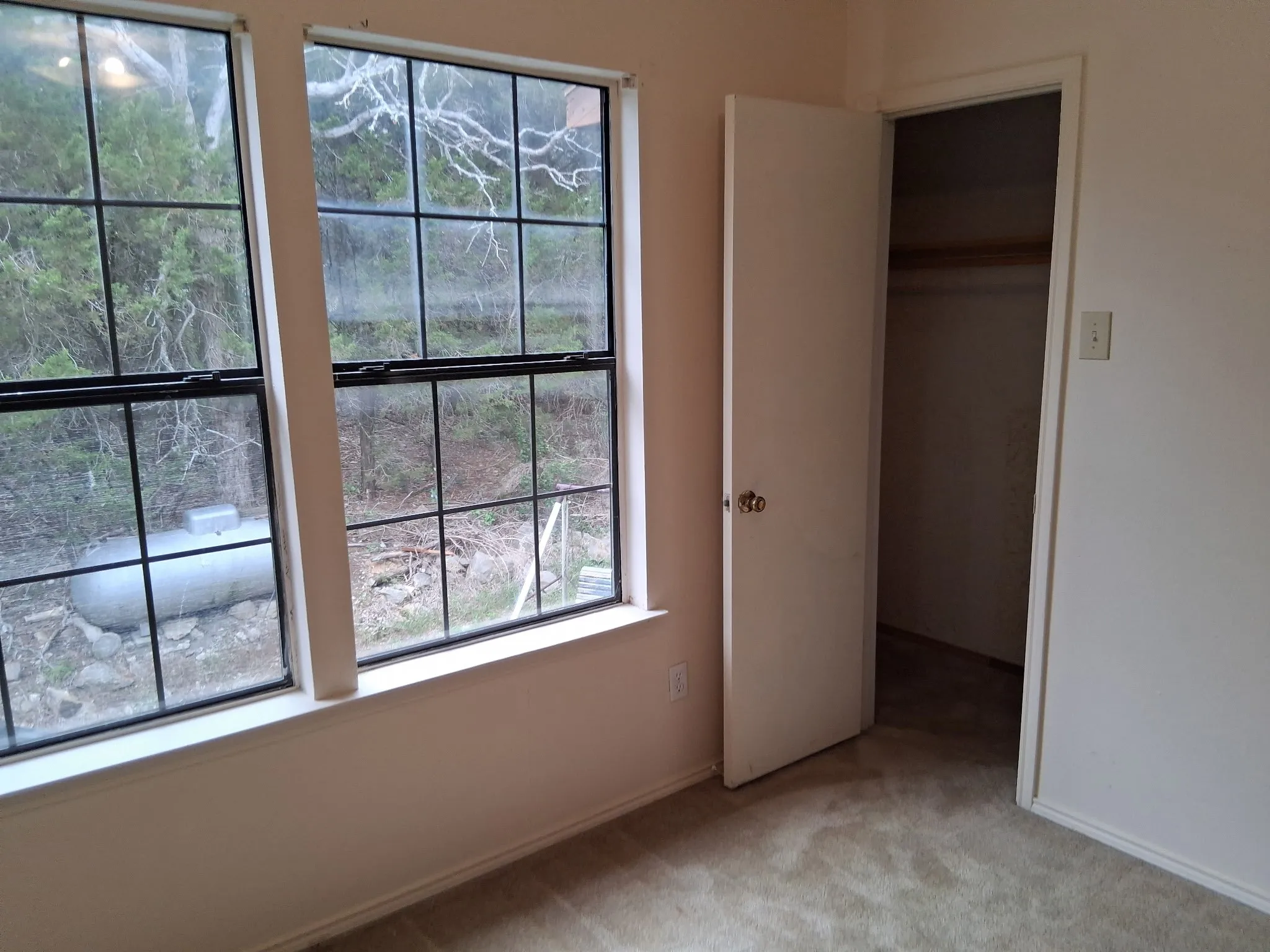 Two windows with black grilles illuminate a room featuring light-colored walls and neutral carpet