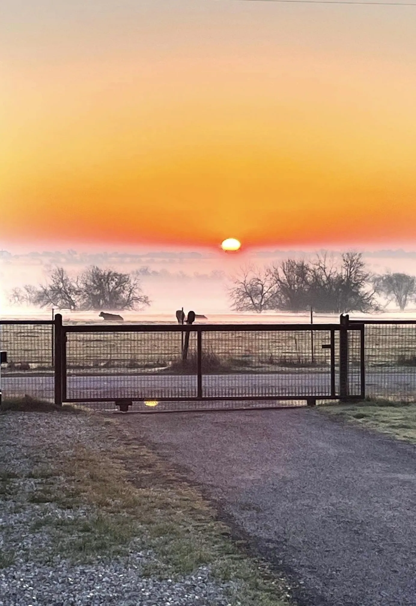 Single Family Residence For Sale in Cooke County , 6482 County Road 321, Valley View, Texas 76272, 3 Bedrooms, 3 Bathrooms, 2 Garage spaces, 1,565 Sqft, built in 1978, Preowned, Price $459,999, mls#21206430, Real Estate Agent in Valley View, Homes For Sale in Cooke county, Homes For Sale in Valley View, Realtor in Valley View Texas, Real Estate Brokerage Independent Realty Texas, Luminita Cordes Realtor