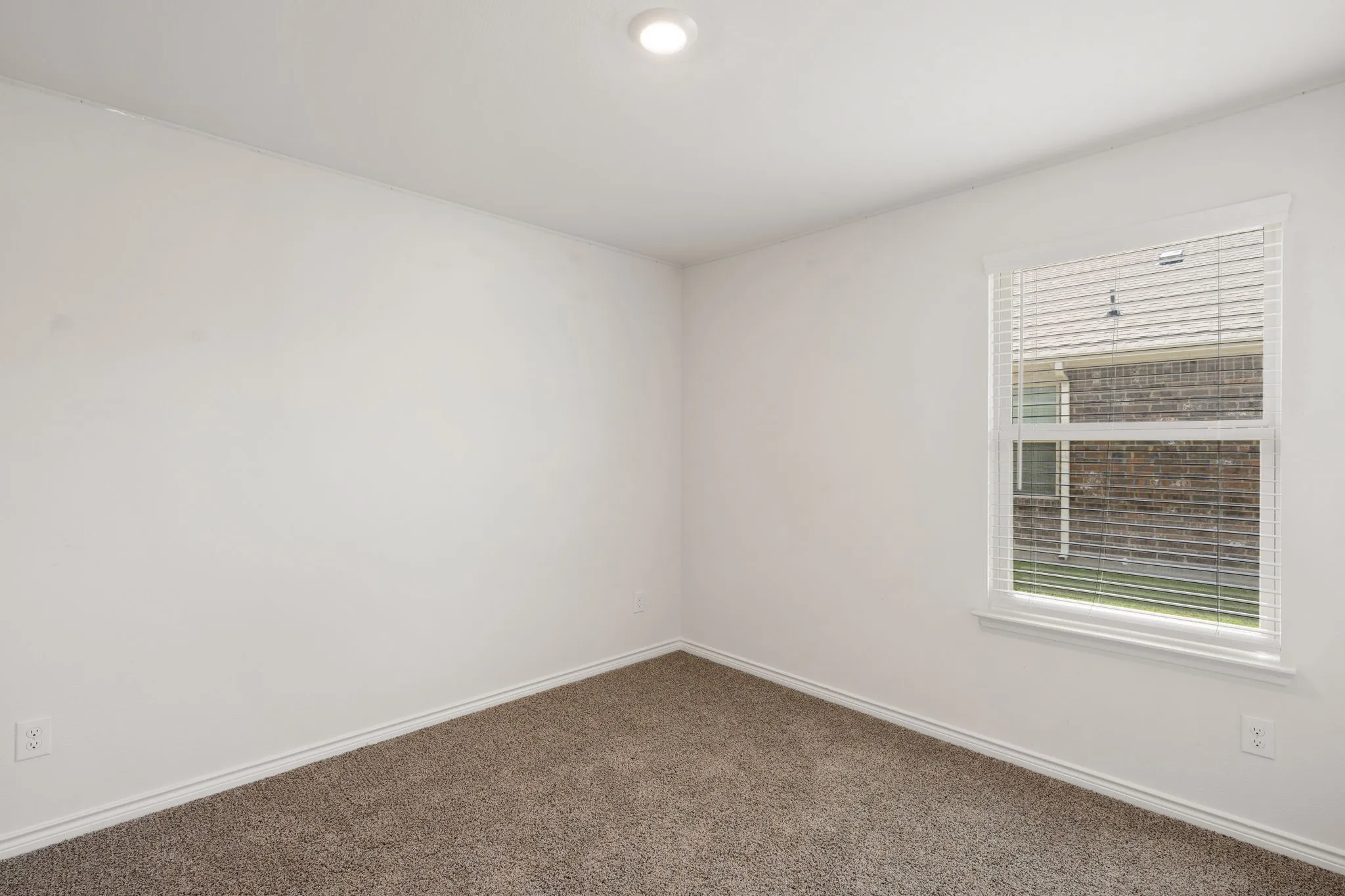 Neutral color palette featuring white walls, white trim, and brown carpet
