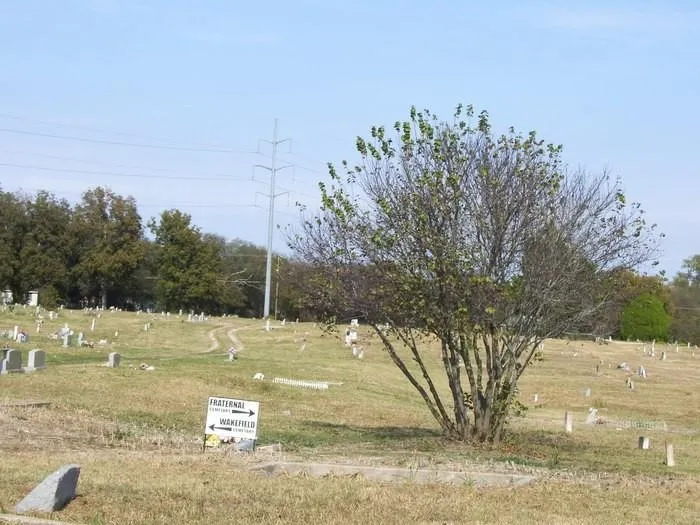 Unimproved Land For Sale in Ellis County , 1400 E Jefferson Street, Waxahachie, Texas 75165, 0, 0, Garage spaces, 0 Sqft, built in 0, mls#21206868, Real Estate Agent in Waxahachie, Homes For Sale in Ellis county, Homes For Sale in Waxahachie, Realtor in Waxahachie Texas, Real Estate Brokerage Independent Realty Texas, Luminita Cordes Realtor
