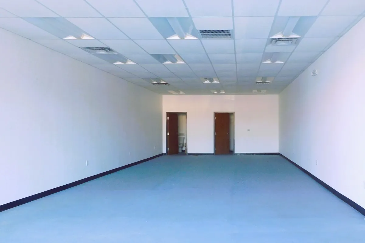 Suite 3