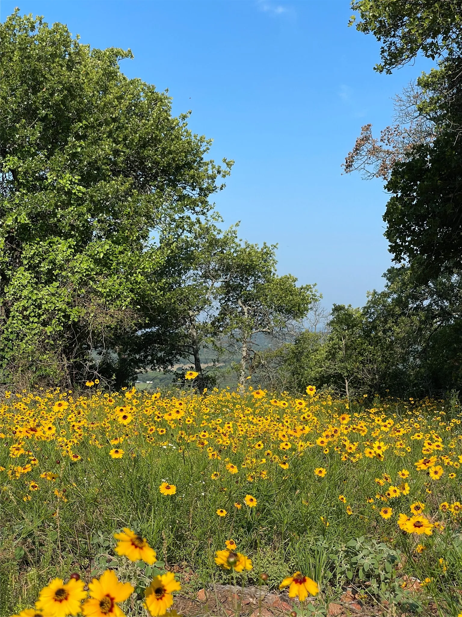 Ranch For Sale in Palo Pinto County , 1390 Clayton Mountain Road, Gordon, Texas 76453, 0, 0, Garage spaces, 0 Sqft, built in 2023, Price $639,000, mls#21206773, Real Estate Agent in Gordon, Homes For Sale in Palo Pinto county, Homes For Sale in Gordon, Realtor in Gordon Texas, Real Estate Brokerage Independent Realty Texas, Luminita Cordes Realtor