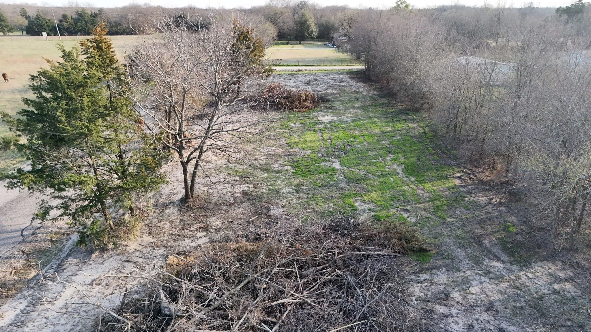 View of local wilderness featuring rural landscape