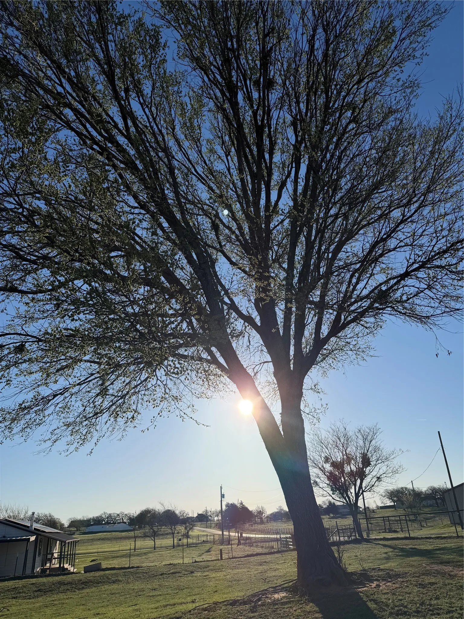 Unimproved Land For Sale in Wise County , 170 County Road 4678, Boyd, Texas 76023, 0, 0, Garage spaces, 0 Sqft, built in 0, mls#21207473, Real Estate Agent in Boyd, Homes For Sale in Wise county, Homes For Sale in Boyd, Realtor in Boyd Texas, Real Estate Brokerage Independent Realty Texas, Luminita Cordes Realtor