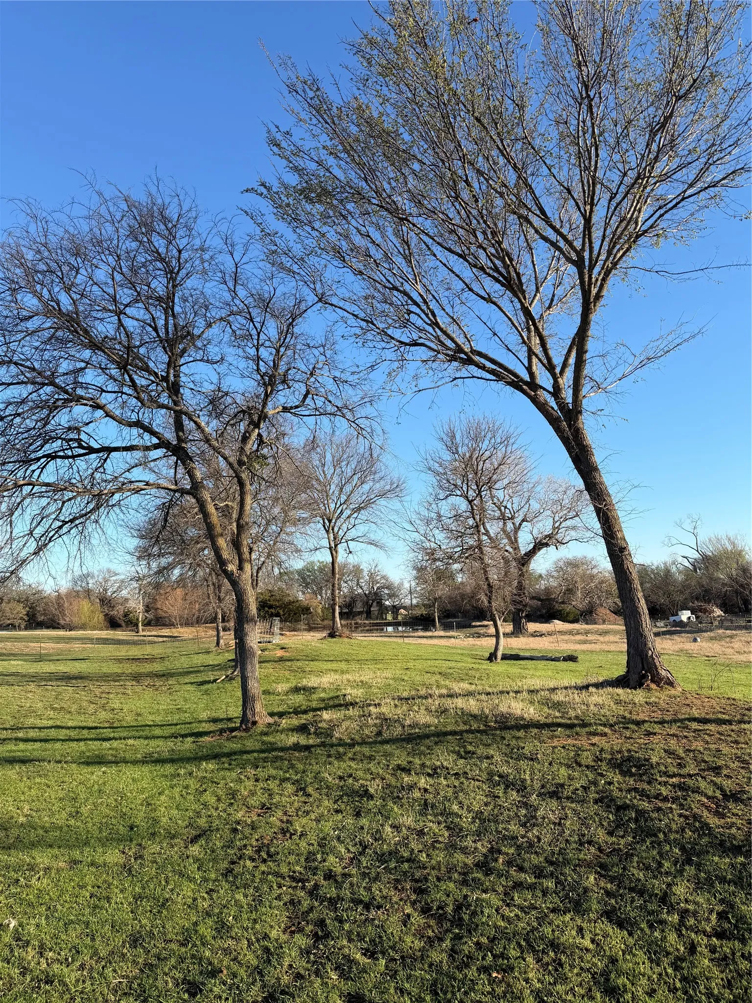 Unimproved Land For Sale in Wise County , 170 County Road 4678, Boyd, Texas 76023, 0, 0, Garage spaces, 0 Sqft, built in 0, mls#21207473, Real Estate Agent in Boyd, Homes For Sale in Wise county, Homes For Sale in Boyd, Realtor in Boyd Texas, Real Estate Brokerage Independent Realty Texas, Luminita Cordes Realtor