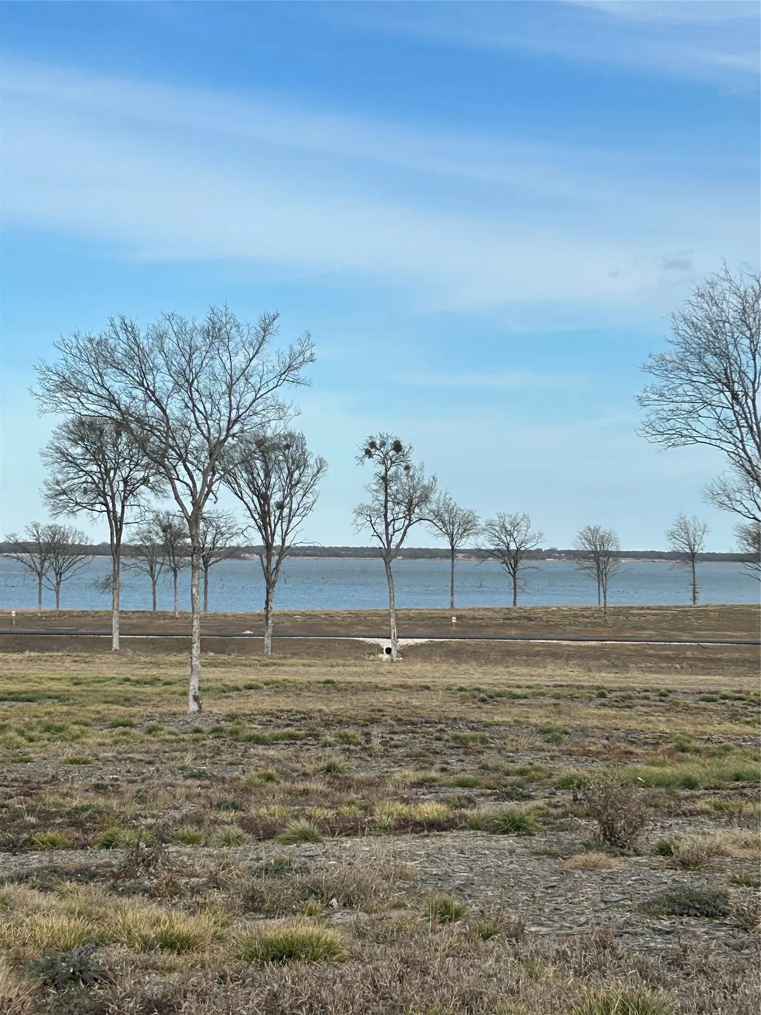 Expansive cleared lot with mature trees and a gently sloping terrain