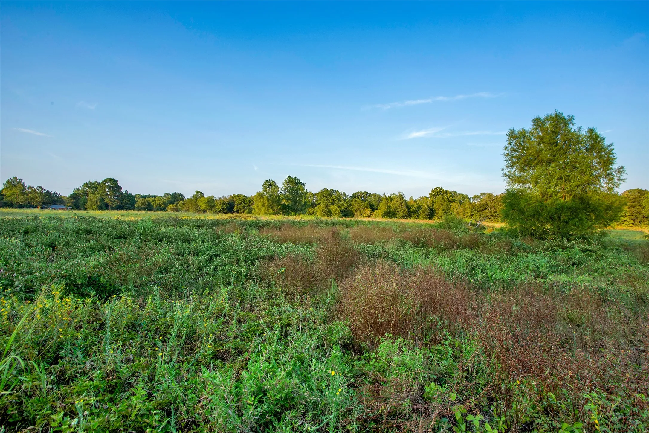 Unimproved Land For Sale in Grayson County , 000 Stafford Drive, Denison, Texas 75020, 0, 0, Garage spaces, 0 Sqft, built in 0, Price $2,800,000, mls#21207553, Real Estate Agent in Denison, Homes For Sale in Grayson county, Homes For Sale in Denison, Realtor in Denison Texas, Real Estate Brokerage Independent Realty Texas, Luminita Cordes Realtor