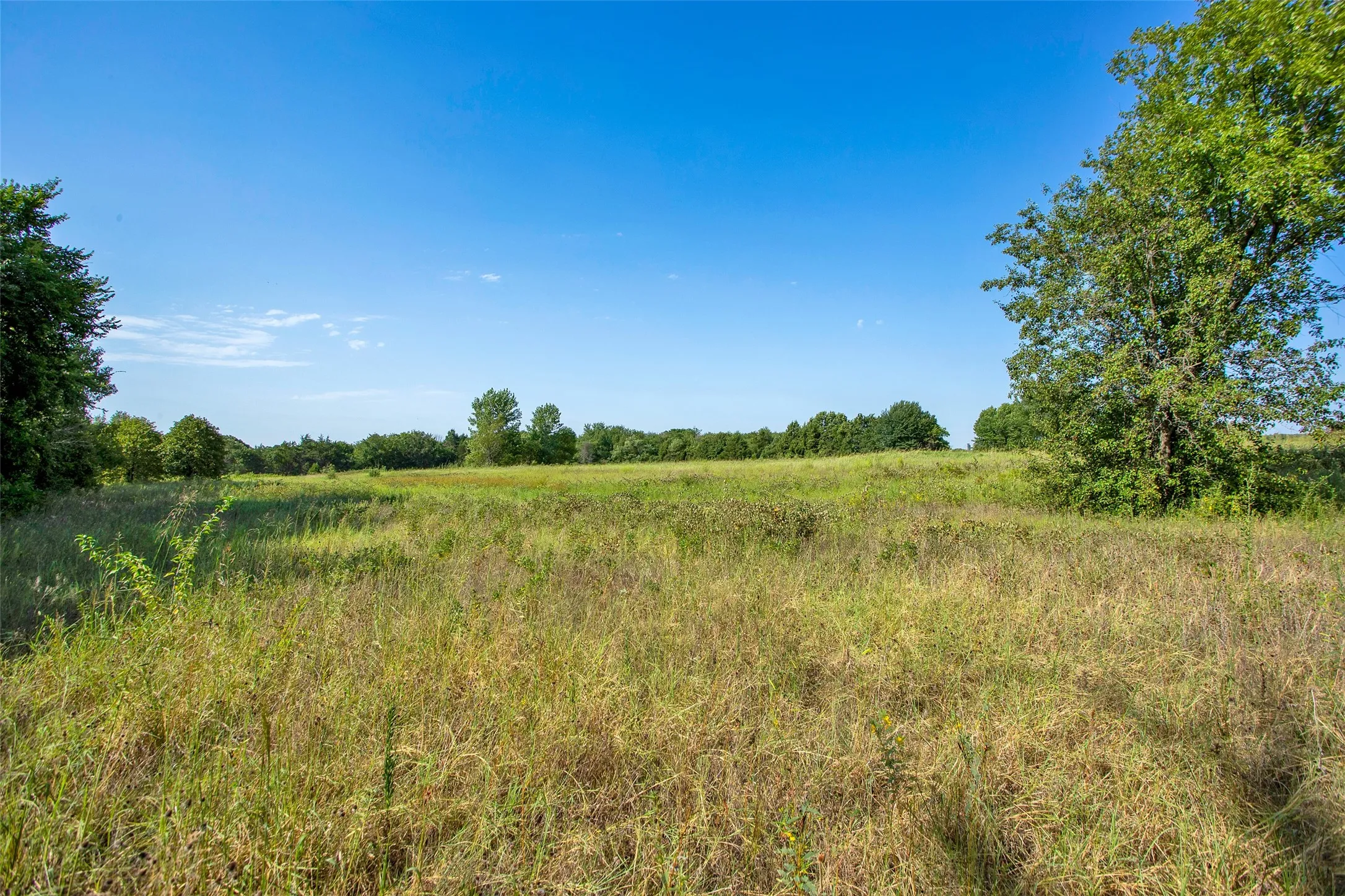 Unimproved Land For Sale in Grayson County , 000 Stafford Drive, Denison, Texas 75020, 0, 0, Garage spaces, 0 Sqft, built in 0, Price $2,800,000, mls#21207553, Real Estate Agent in Denison, Homes For Sale in Grayson county, Homes For Sale in Denison, Realtor in Denison Texas, Real Estate Brokerage Independent Realty Texas, Luminita Cordes Realtor