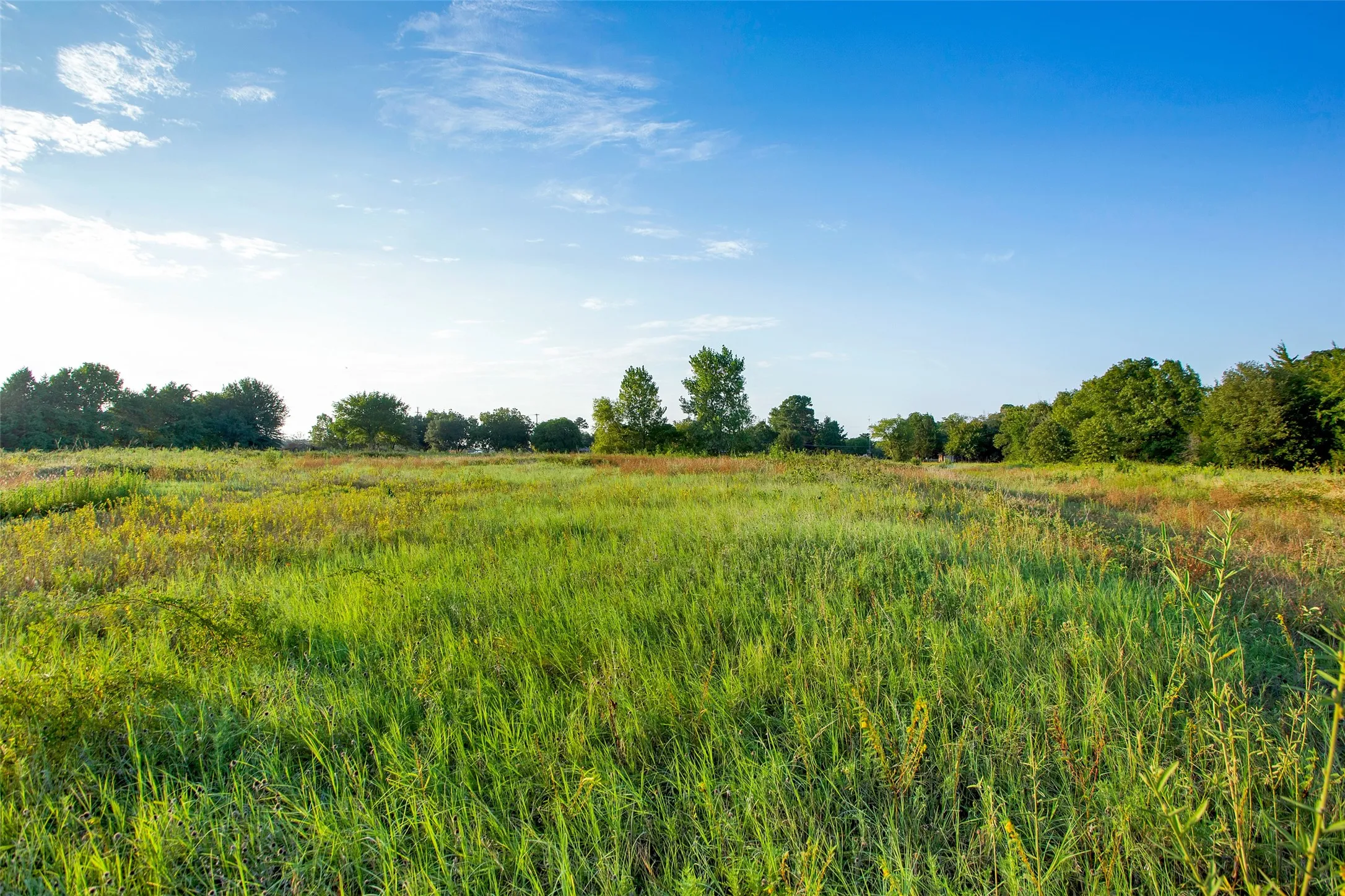 Unimproved Land For Sale in Grayson County , 000 Stafford Drive, Denison, Texas 75020, 0, 0, Garage spaces, 0 Sqft, built in 0, Price $2,800,000, mls#21207553, Real Estate Agent in Denison, Homes For Sale in Grayson county, Homes For Sale in Denison, Realtor in Denison Texas, Real Estate Brokerage Independent Realty Texas, Luminita Cordes Realtor