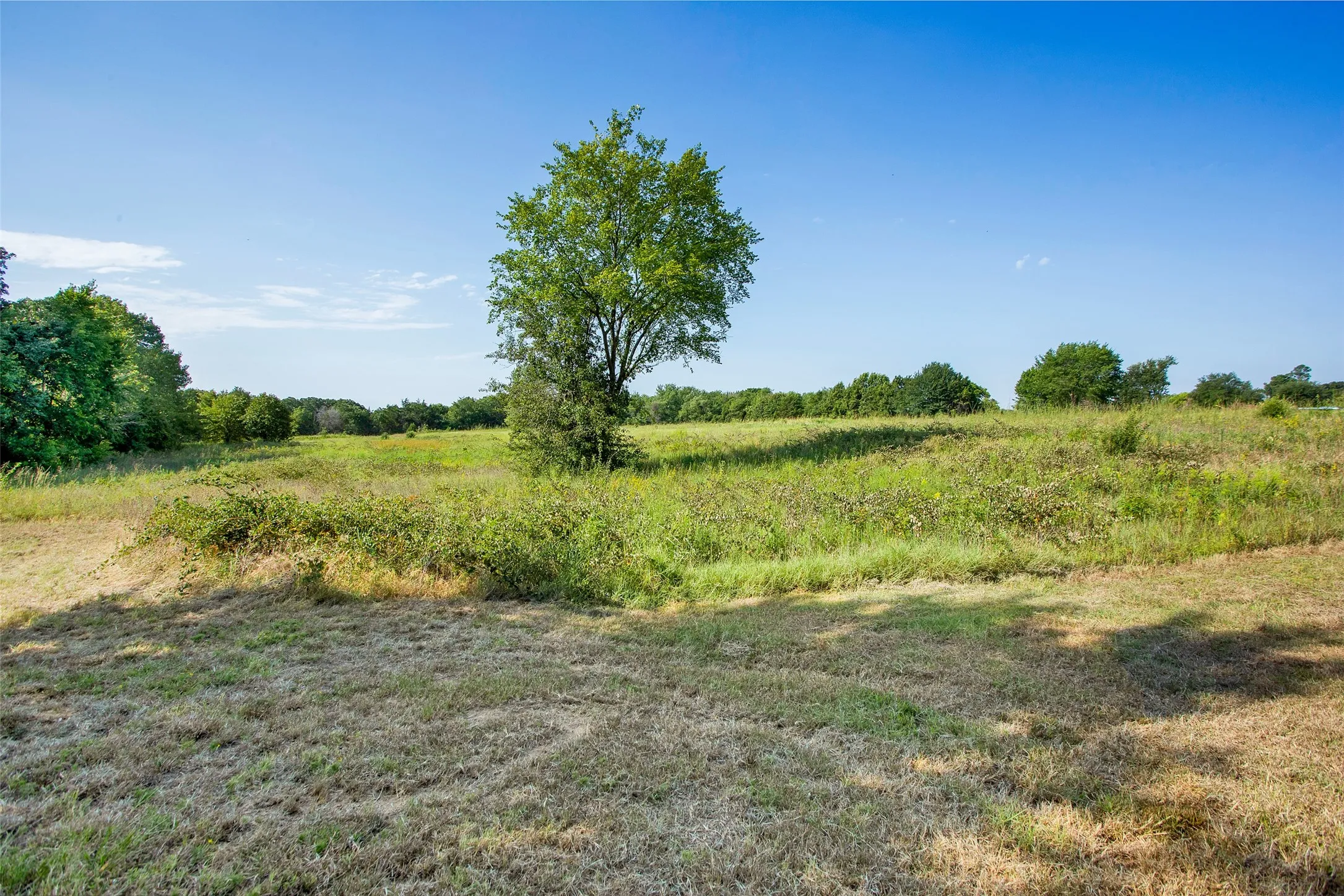 Unimproved Land For Sale in Grayson County , 000 Stafford Drive, Denison, Texas 75020, 0, 0, Garage spaces, 0 Sqft, built in 0, Price $2,800,000, mls#21207553, Real Estate Agent in Denison, Homes For Sale in Grayson county, Homes For Sale in Denison, Realtor in Denison Texas, Real Estate Brokerage Independent Realty Texas, Luminita Cordes Realtor