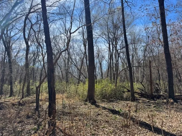Unimproved Land For Sale in Anderson County , TBD Anderson County Rd. 319, Frankston, Texas 75763, 0, 0, Garage spaces, 0 Sqft, built in 0, Price $49,999, mls#21207650, Real Estate Agent in Frankston, Homes For Sale in Anderson county, Homes For Sale in Frankston, Realtor in Frankston Texas, Real Estate Brokerage Independent Realty Texas, Luminita Cordes Realtor