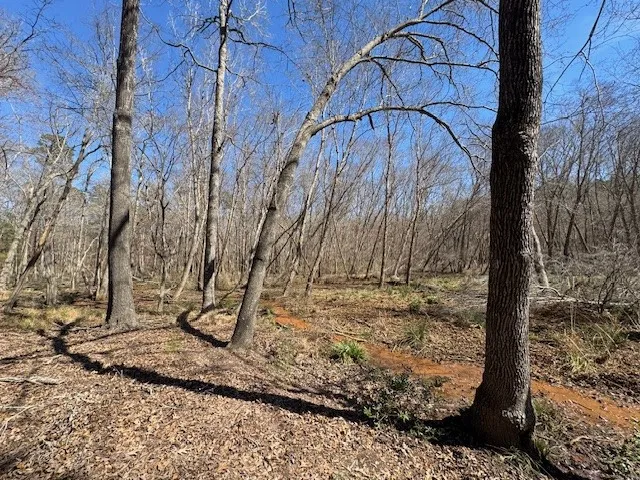 Unimproved Land For Sale in Anderson County , TBD Anderson County Rd. 319, Frankston, Texas 75763, 0, 0, Garage spaces, 0 Sqft, built in 0, Price $49,999, mls#21207650, Real Estate Agent in Frankston, Homes For Sale in Anderson county, Homes For Sale in Frankston, Realtor in Frankston Texas, Real Estate Brokerage Independent Realty Texas, Luminita Cordes Realtor