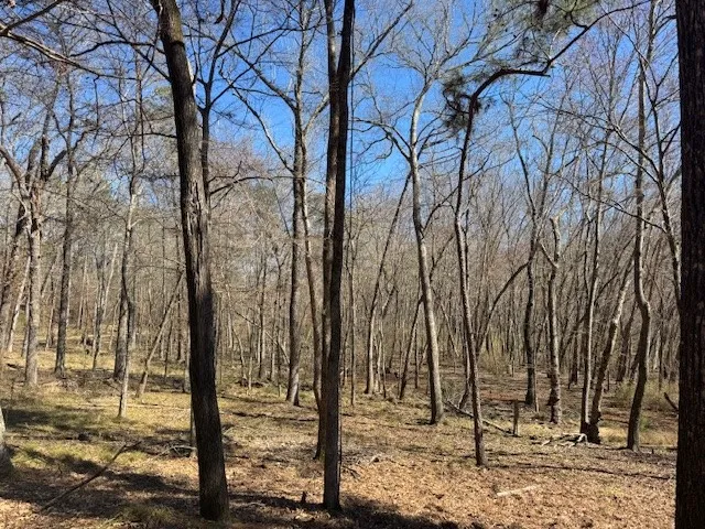 Unimproved Land For Sale in Anderson County , TBD Anderson County Rd. 319, Frankston, Texas 75763, 0, 0, Garage spaces, 0 Sqft, built in 0, Price $49,999, mls#21207650, Real Estate Agent in Frankston, Homes For Sale in Anderson county, Homes For Sale in Frankston, Realtor in Frankston Texas, Real Estate Brokerage Independent Realty Texas, Luminita Cordes Realtor