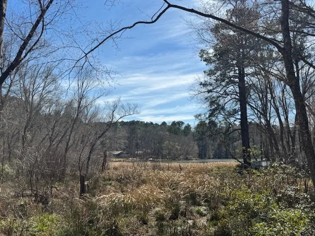 Unimproved Land For Sale in Anderson County , TBD Anderson County Rd. 319, Frankston, Texas 75763, 0, 0, Garage spaces, 0 Sqft, built in 0, Price $49,999, mls#21207650, Real Estate Agent in Frankston, Homes For Sale in Anderson county, Homes For Sale in Frankston, Realtor in Frankston Texas, Real Estate Brokerage Independent Realty Texas, Luminita Cordes Realtor
