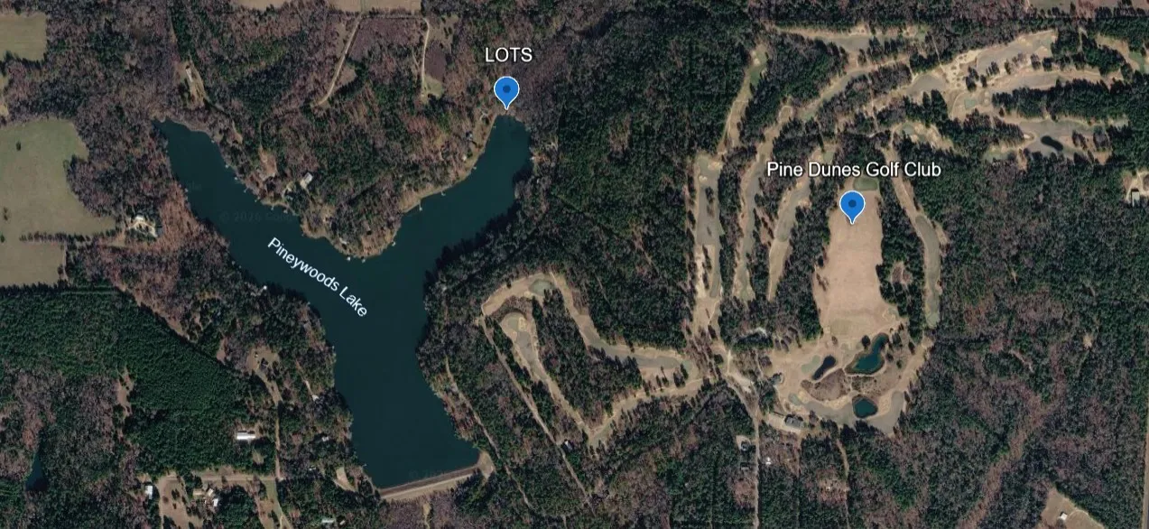 Unimproved Land For Sale in Anderson County , TBD Anderson County Rd. 319, Frankston, Texas 75763, 0, 0, Garage spaces, 0 Sqft, built in 0, Price $49,999, mls#21207650, Real Estate Agent in Frankston, Homes For Sale in Anderson county, Homes For Sale in Frankston, Realtor in Frankston Texas, Real Estate Brokerage Independent Realty Texas, Luminita Cordes Realtor